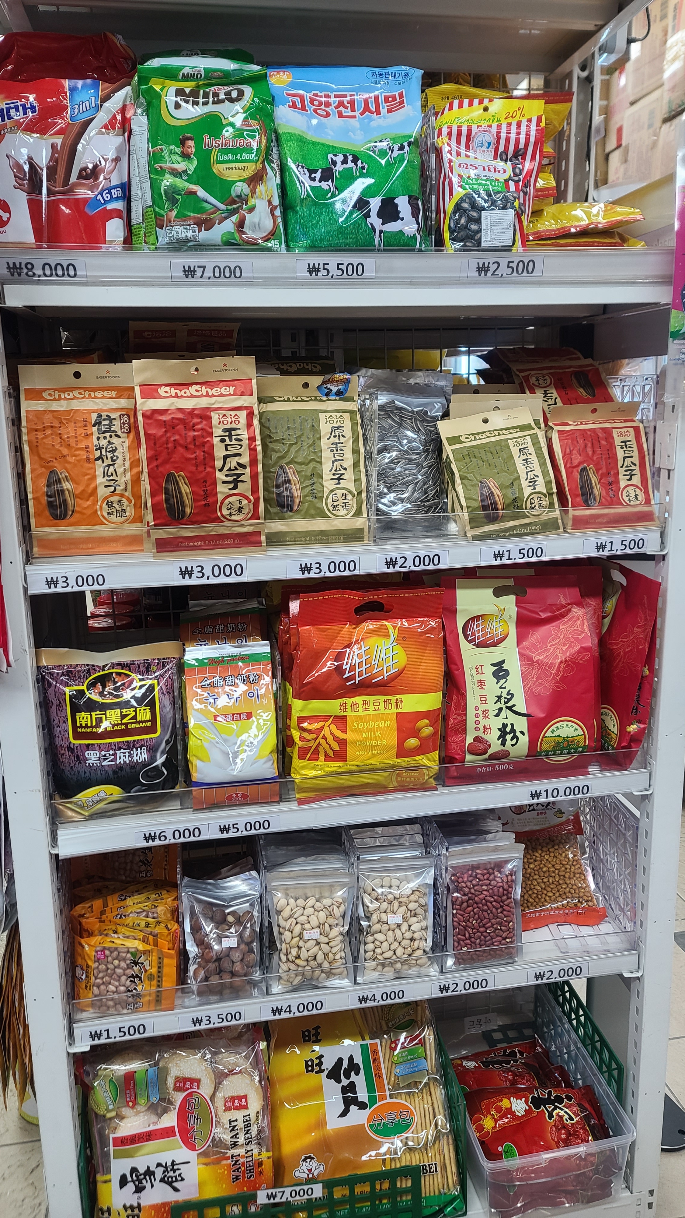 밀레니엄