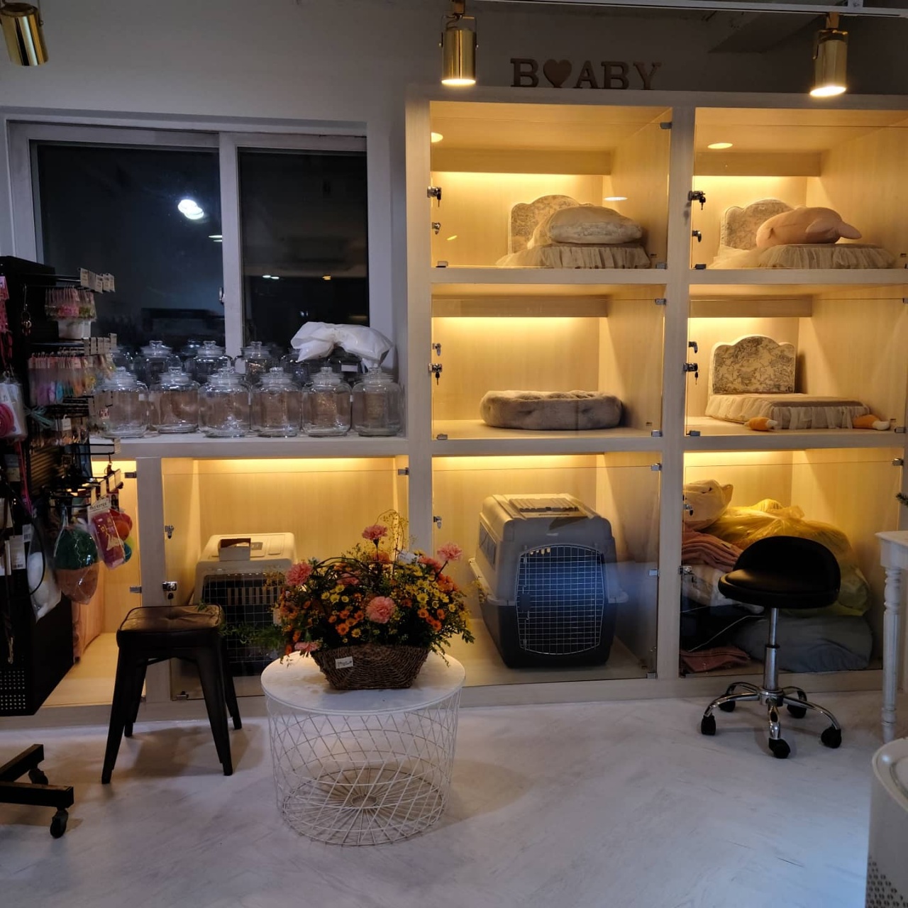 쥬쥬펫 대표 이미지