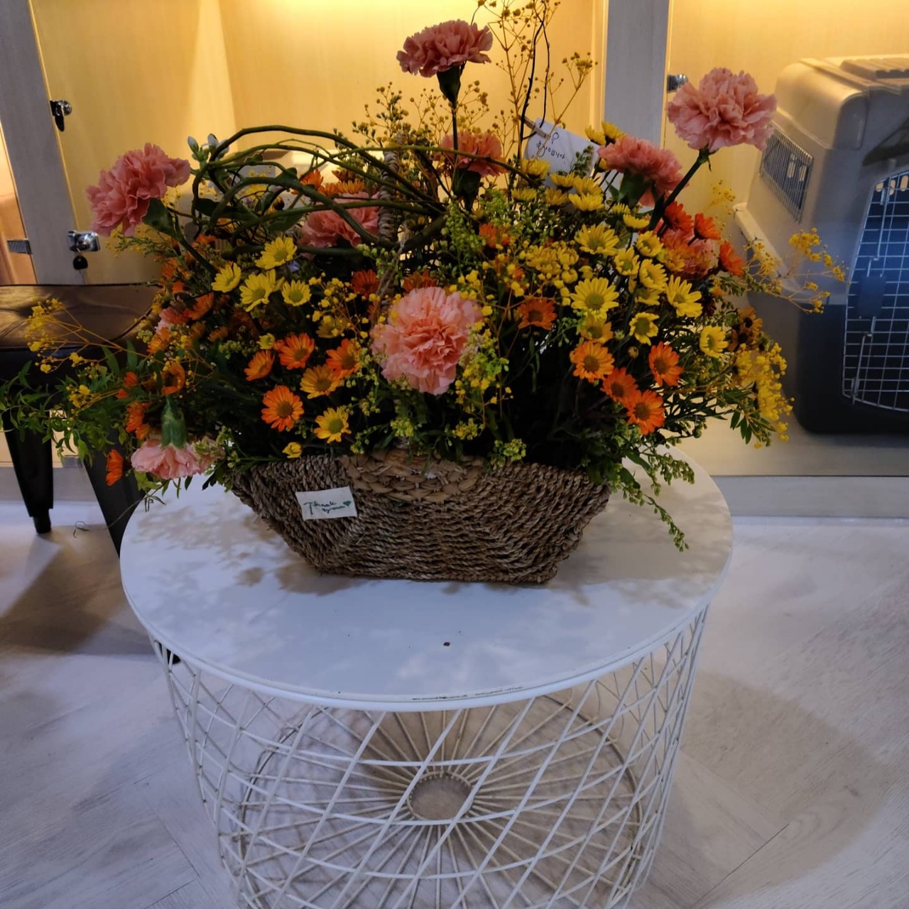 쥬쥬펫 대표 이미지