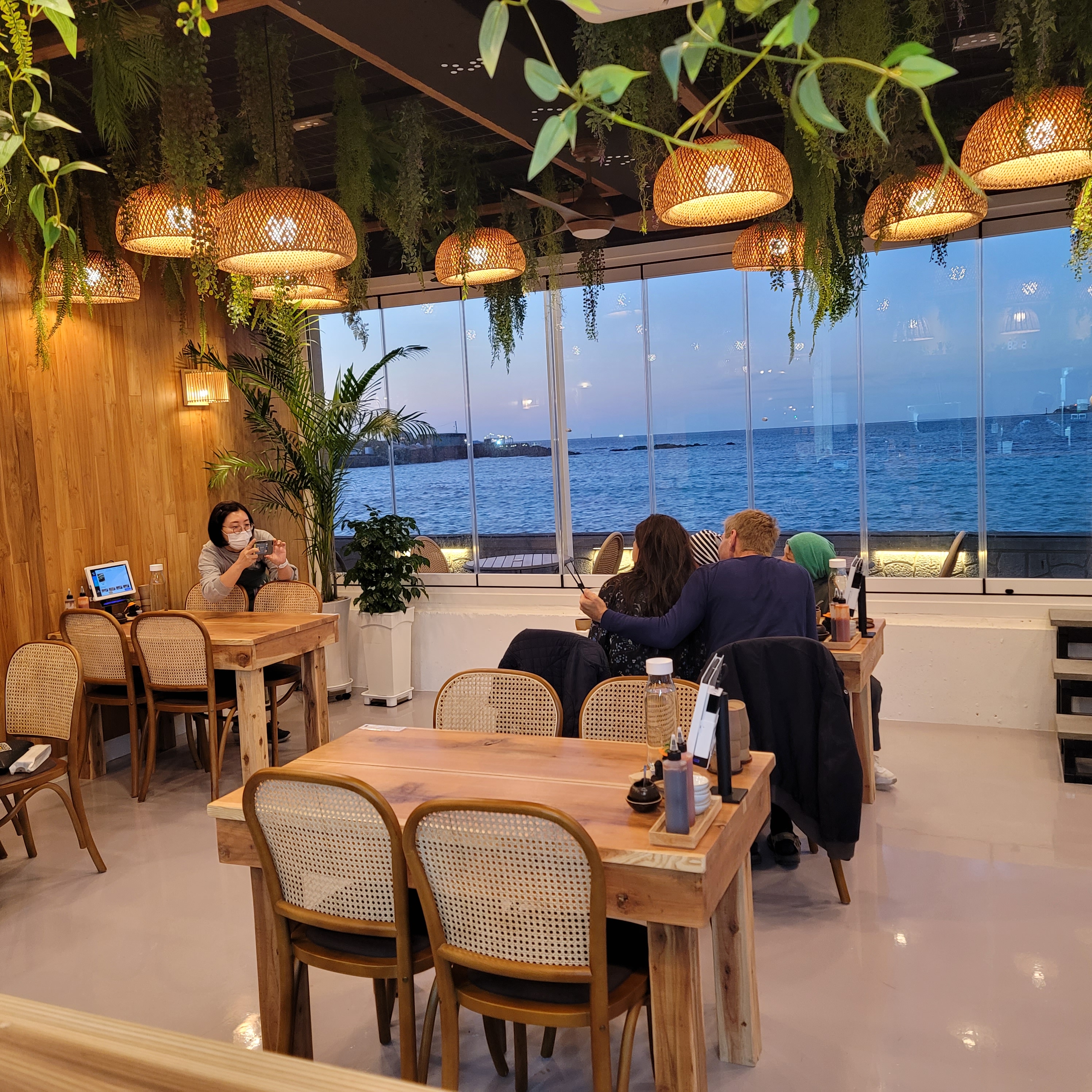 마크사이공 제주 반려동물 동반 애견카페