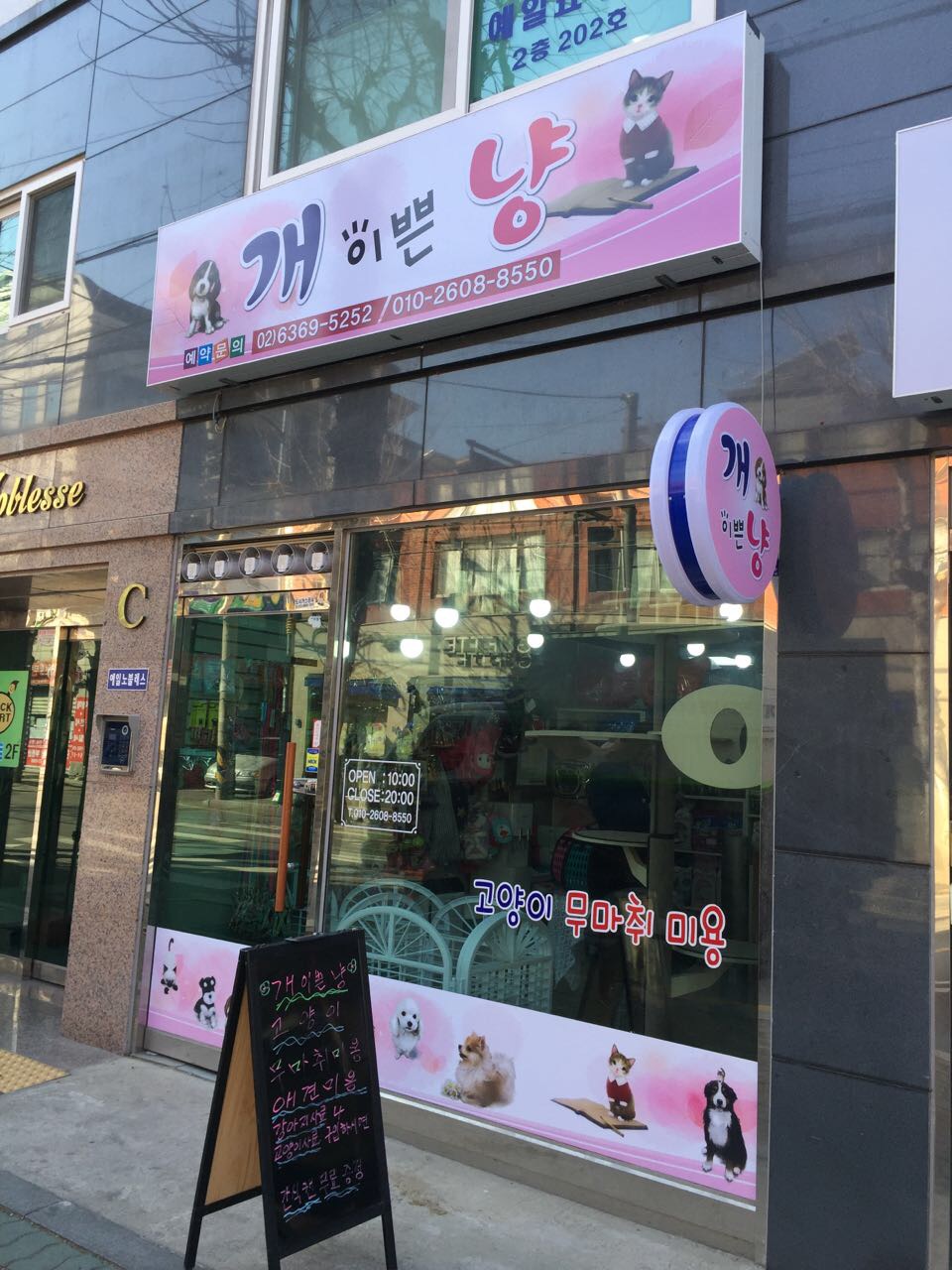개이쁜냥
