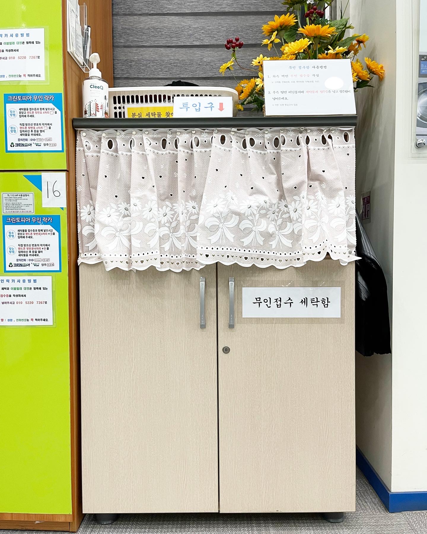 크린토피아 코인워시 양주덕정점