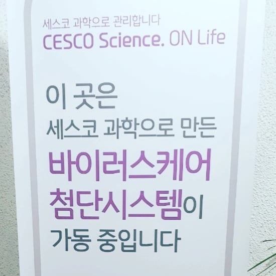 업체사진