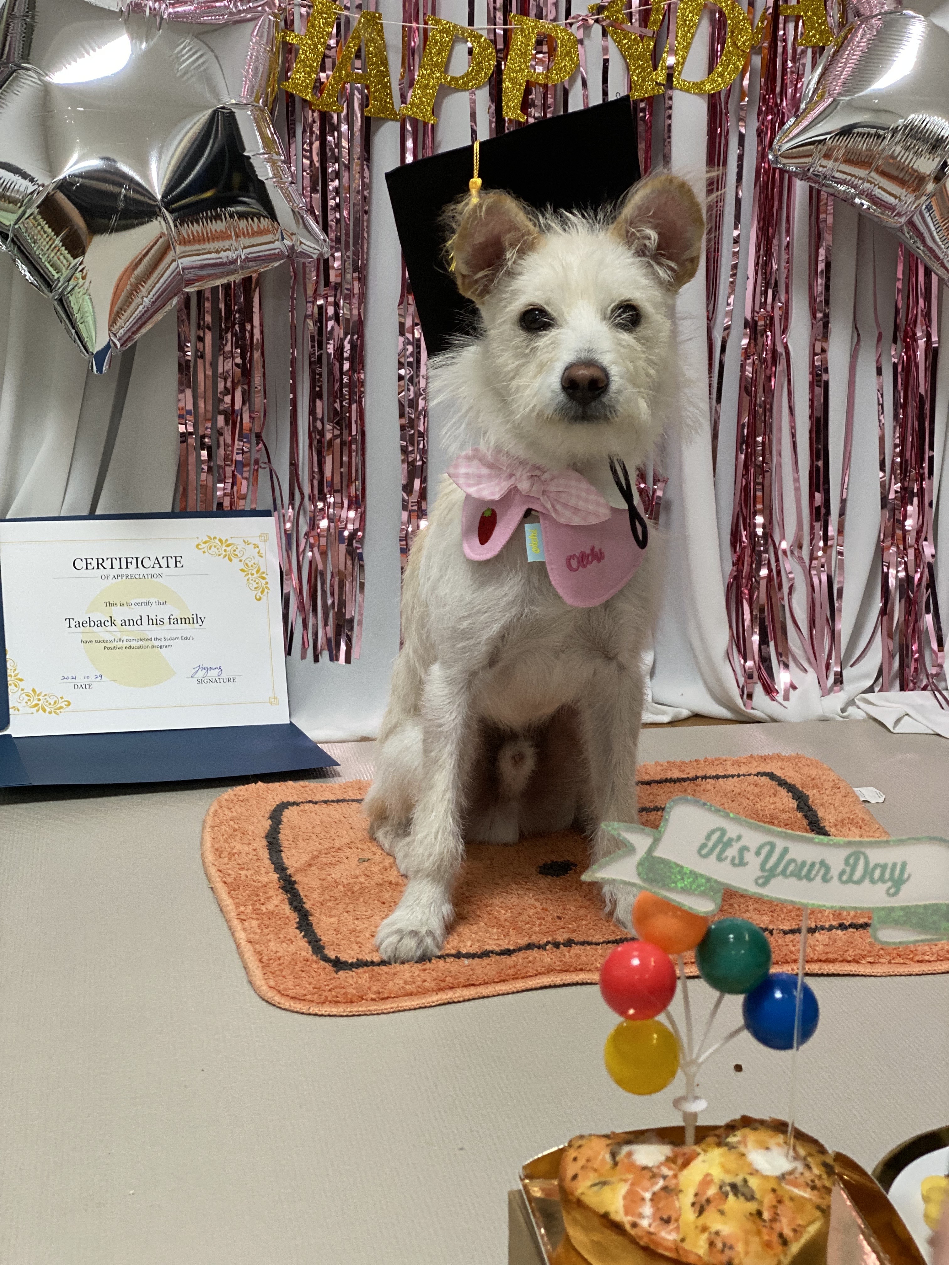 쓰담 에듀 대표 이미지