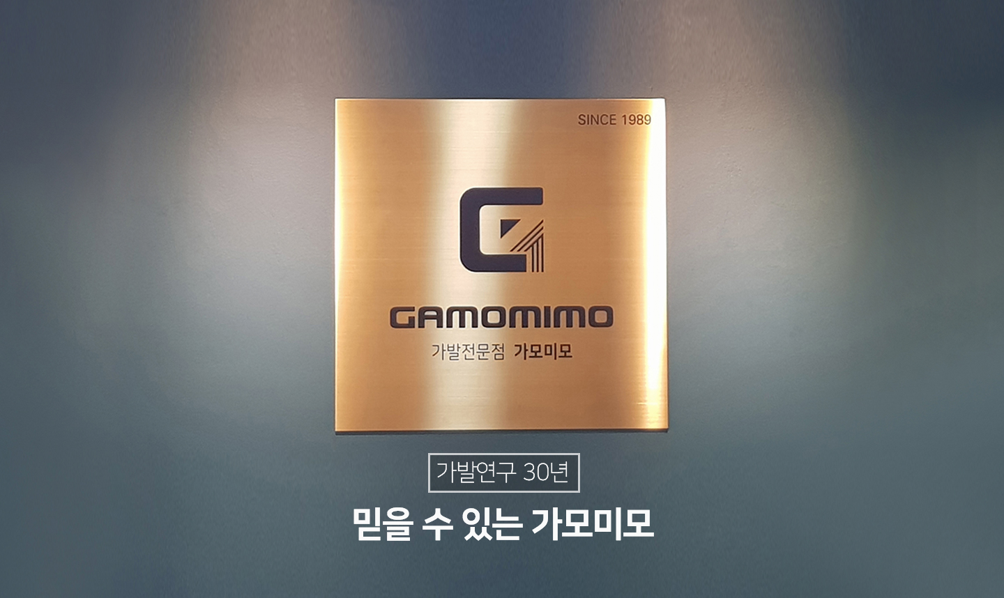 가모미모