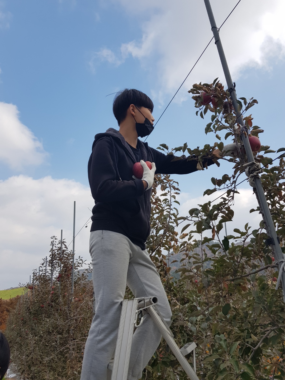 칠년풍년