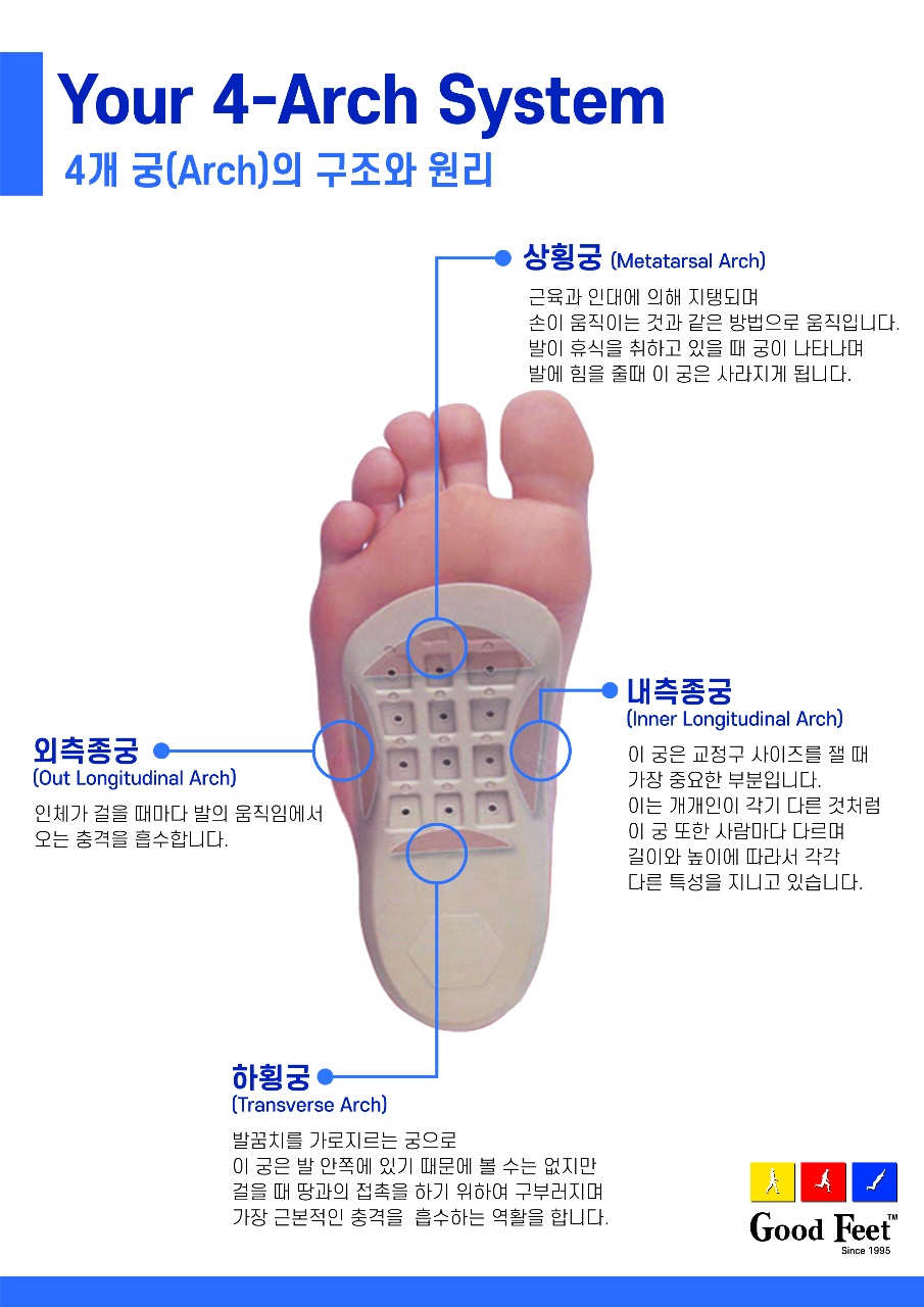굿피트코리아 골든케어대리점