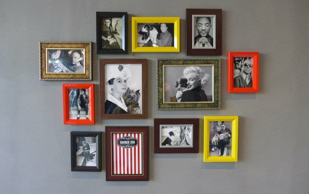 바버독 대표 이미지