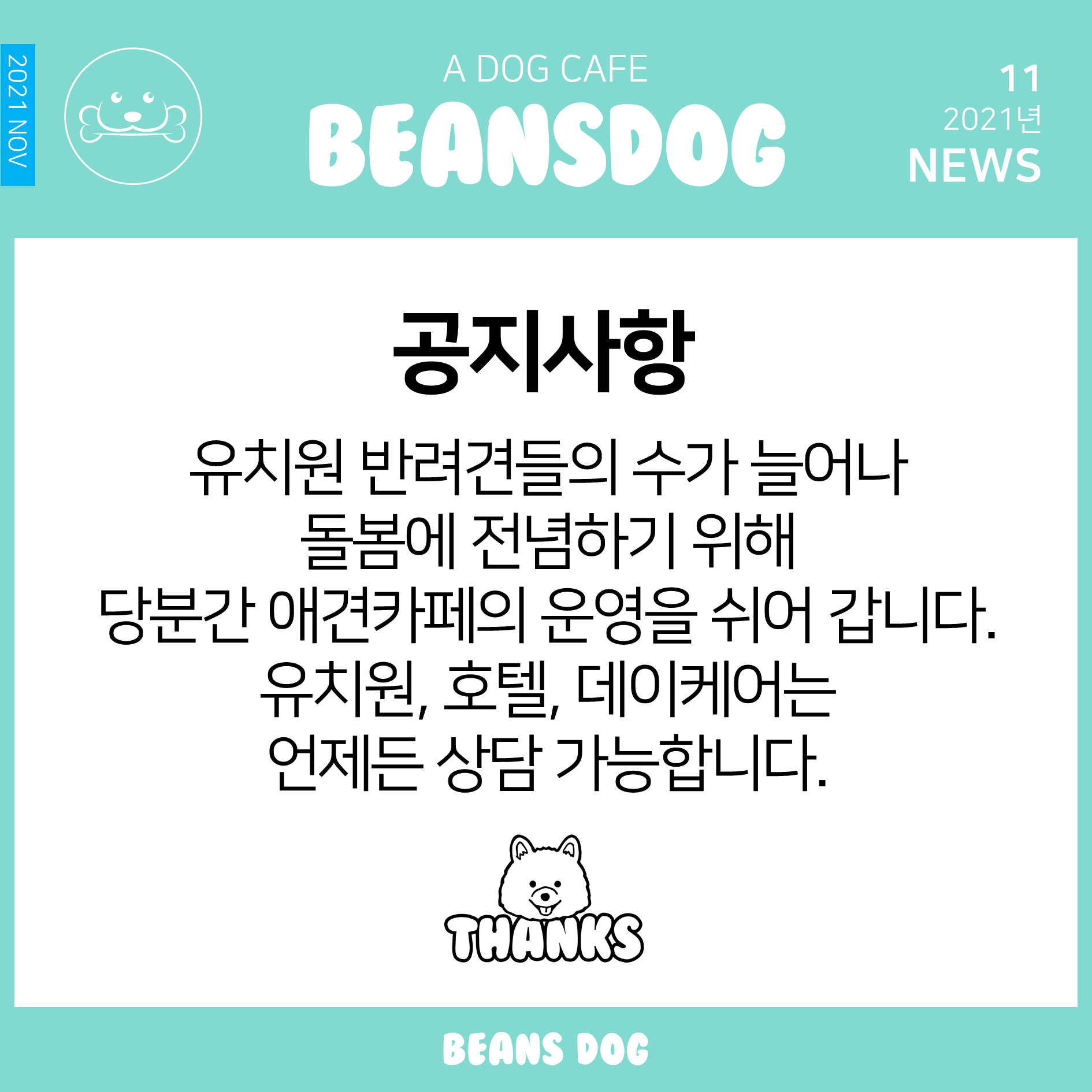 빈스독 강아지유치원 대표 이미지