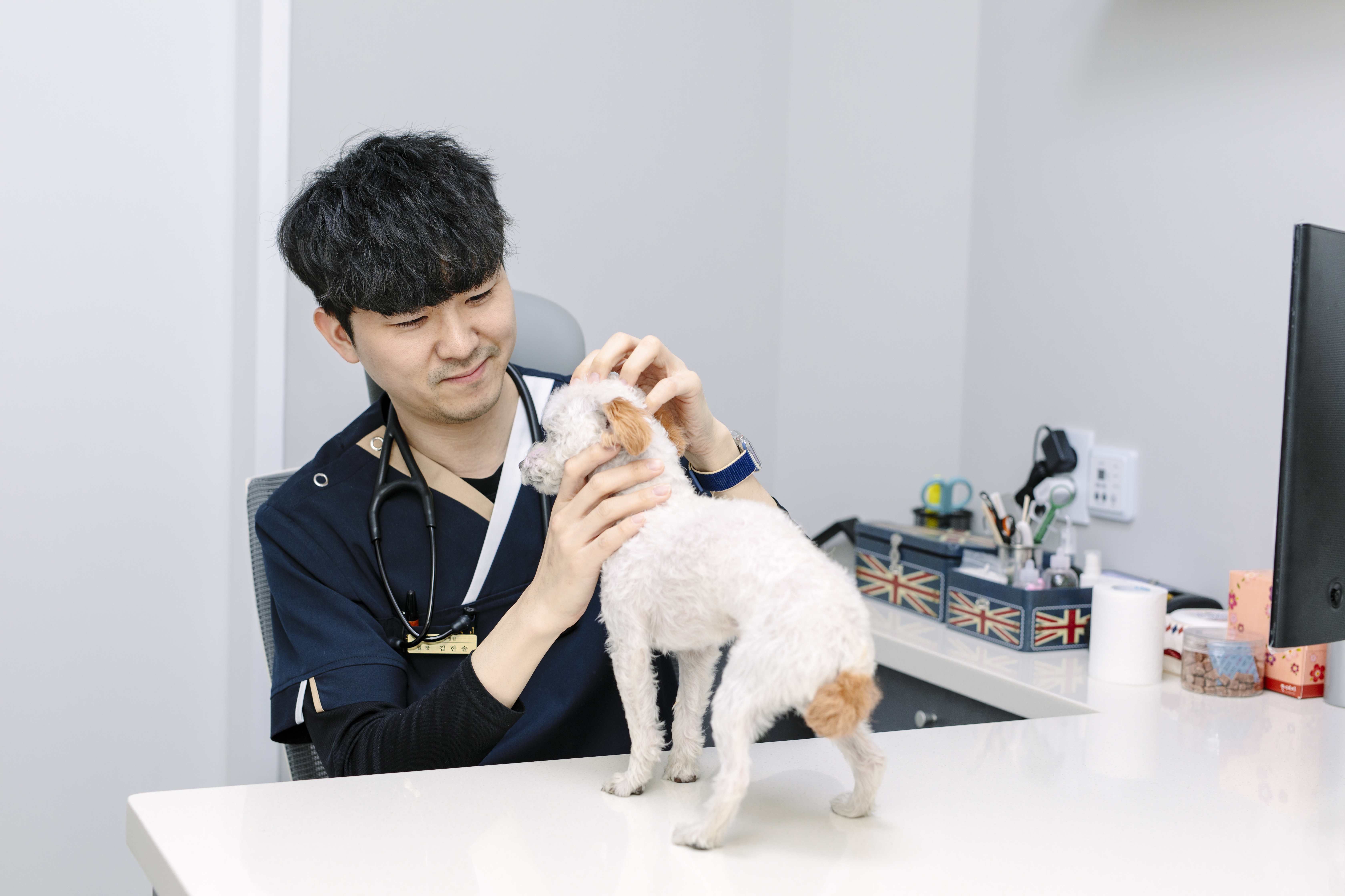 봄날동물병원 목동본점