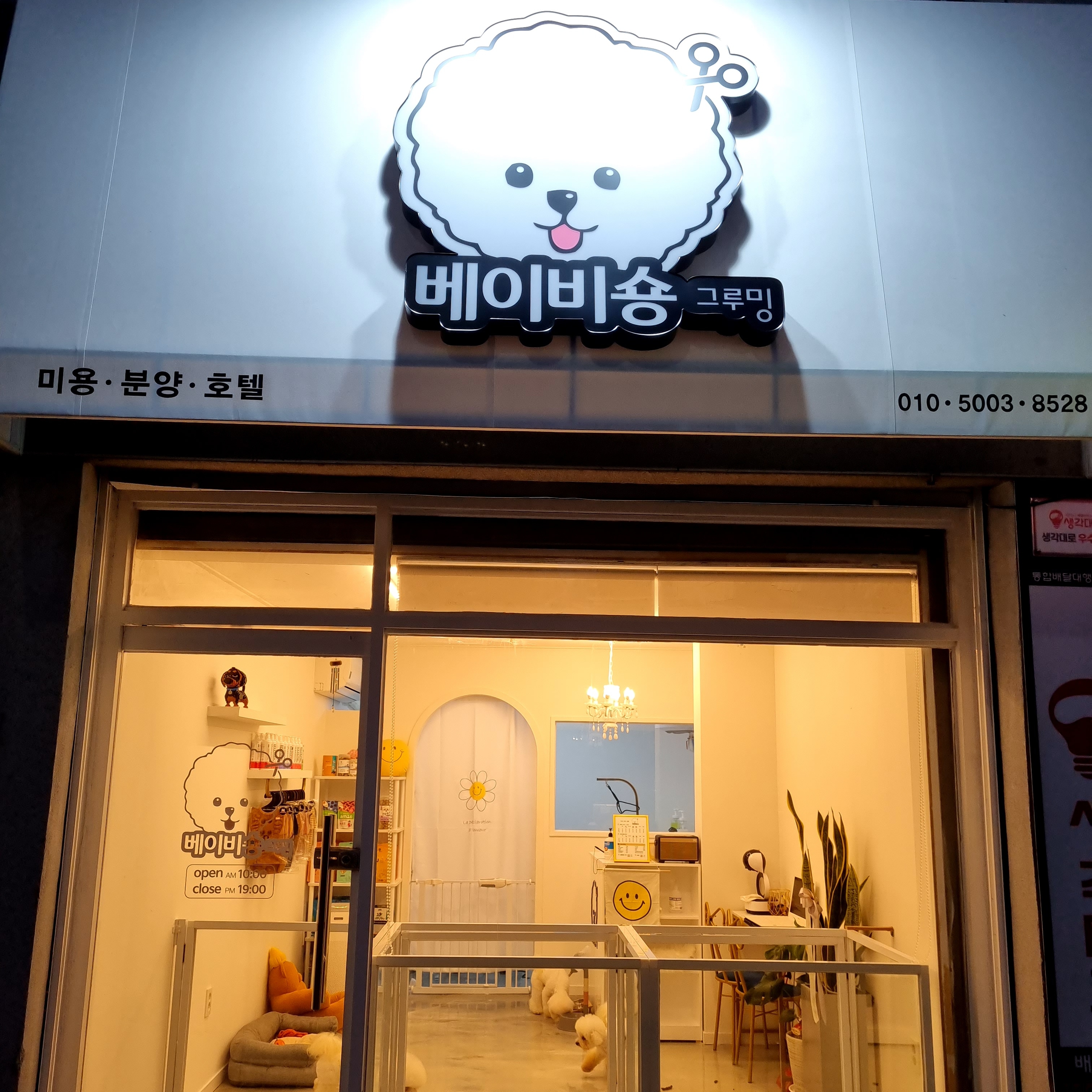 베이비숑 그루밍