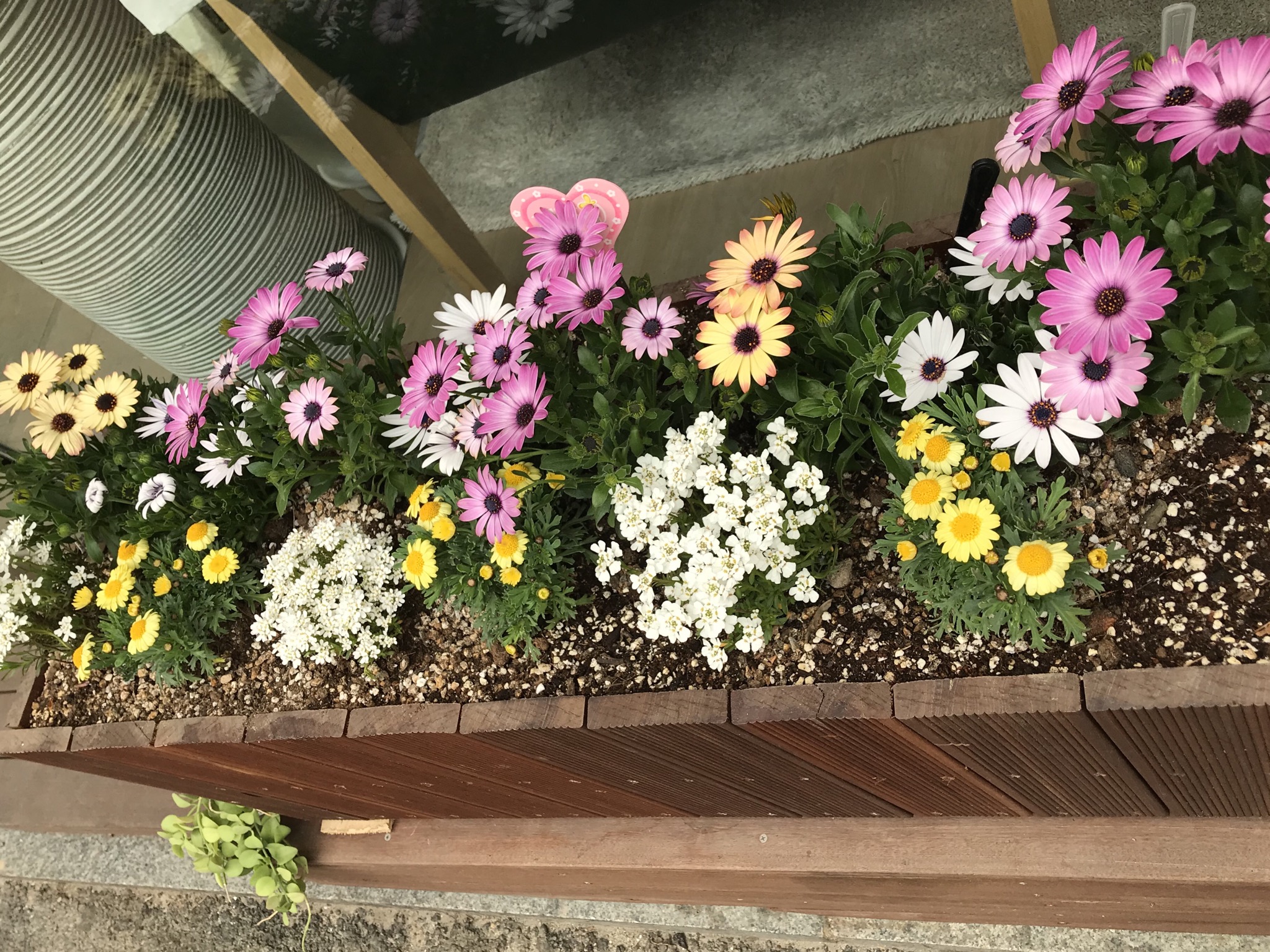 뽀야니 샴푸스파 대표 이미지