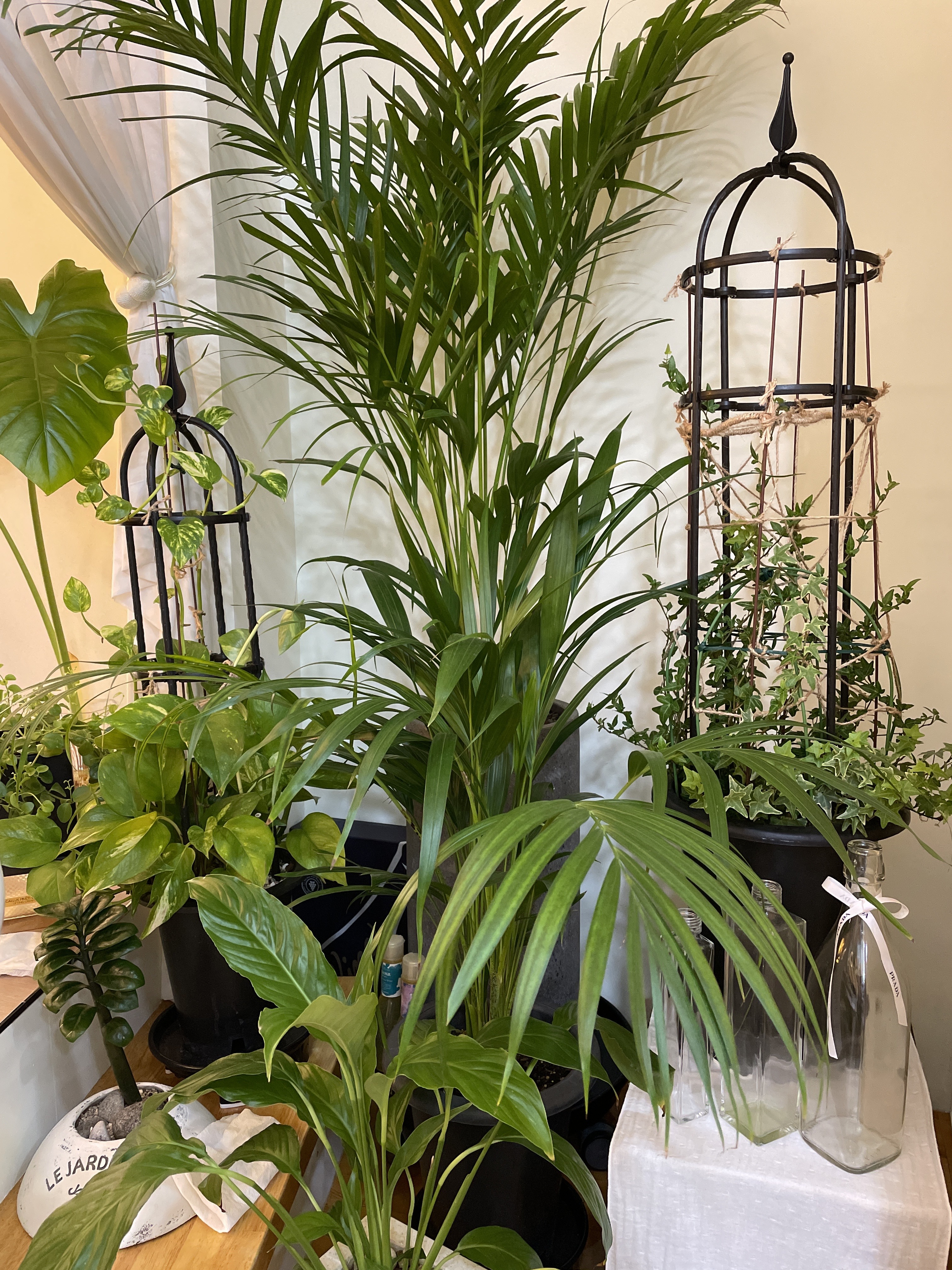 뽀야니 샴푸스파 대표 이미지