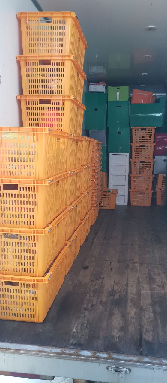 다온이사몰 대표 이미지