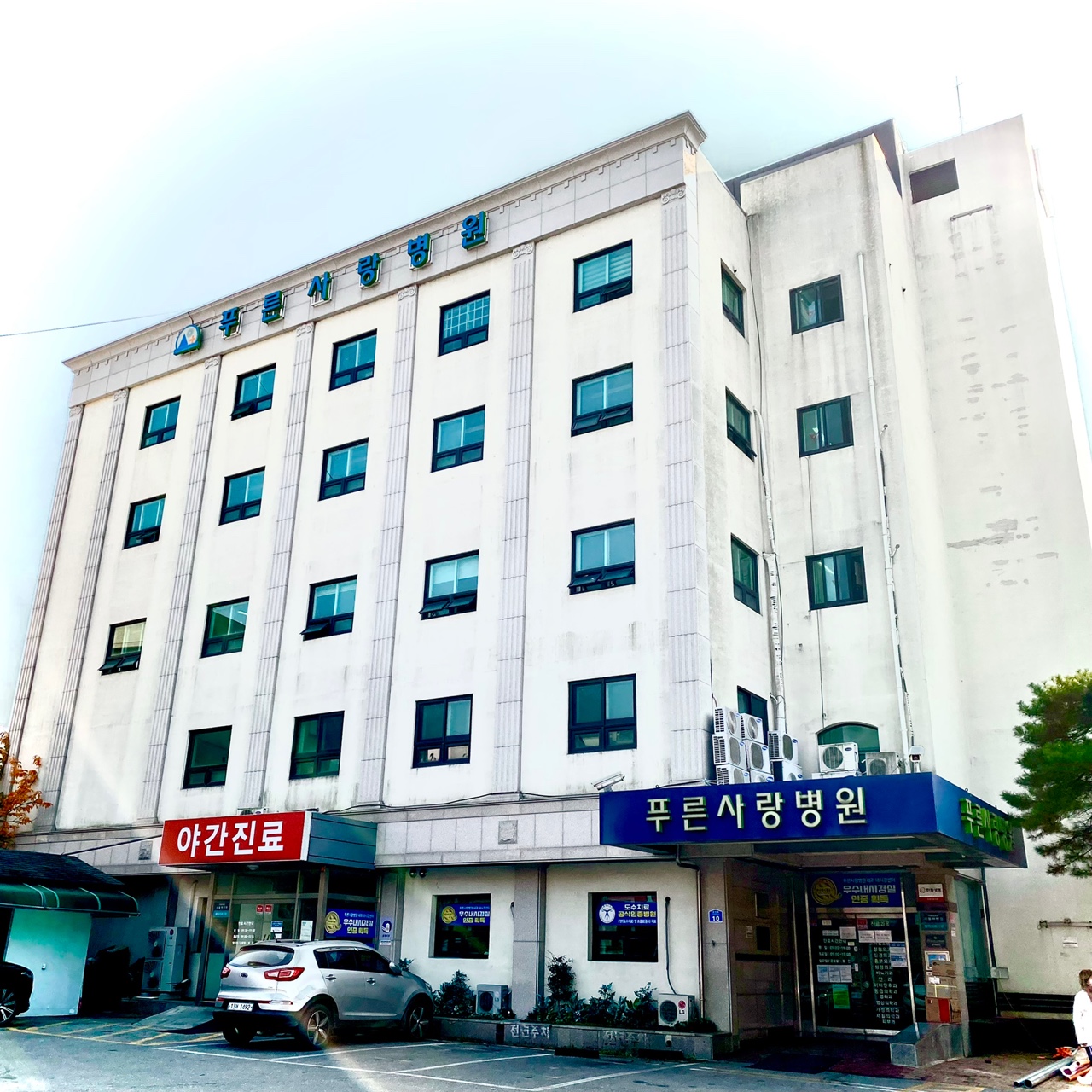 푸른사랑병원