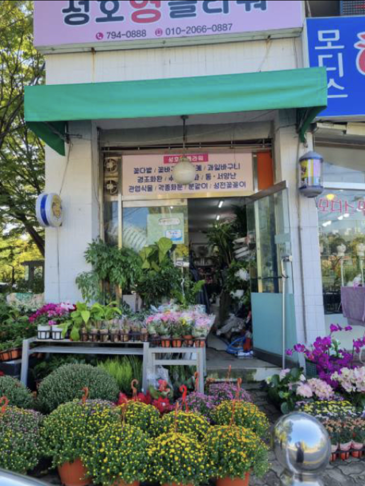 성호영플라워