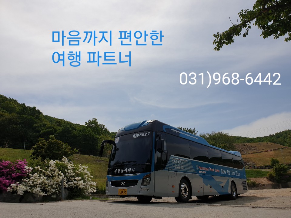 신항공여행사