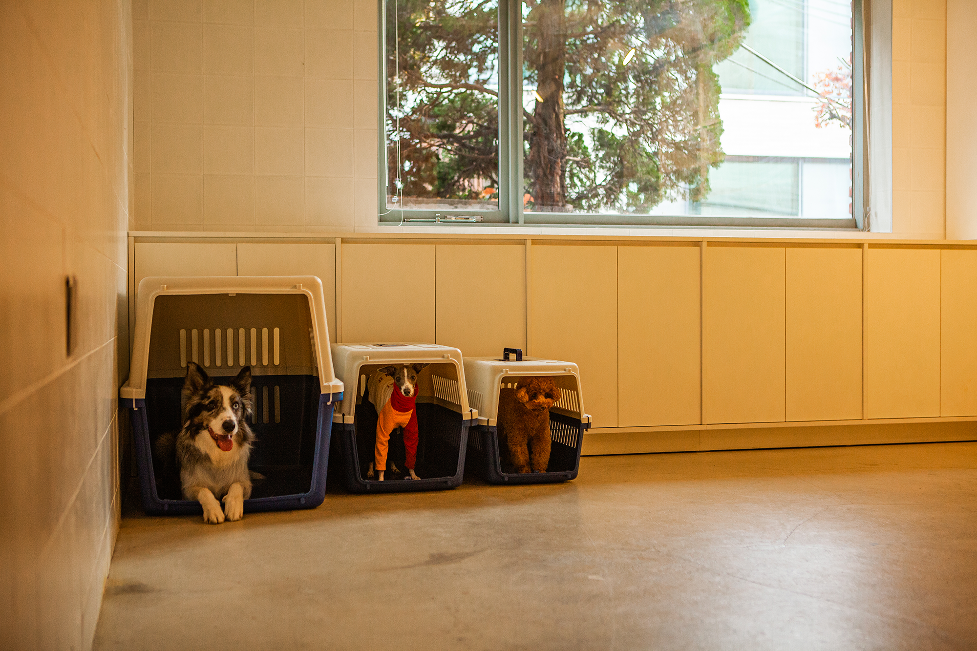 독클래스 대표 이미지