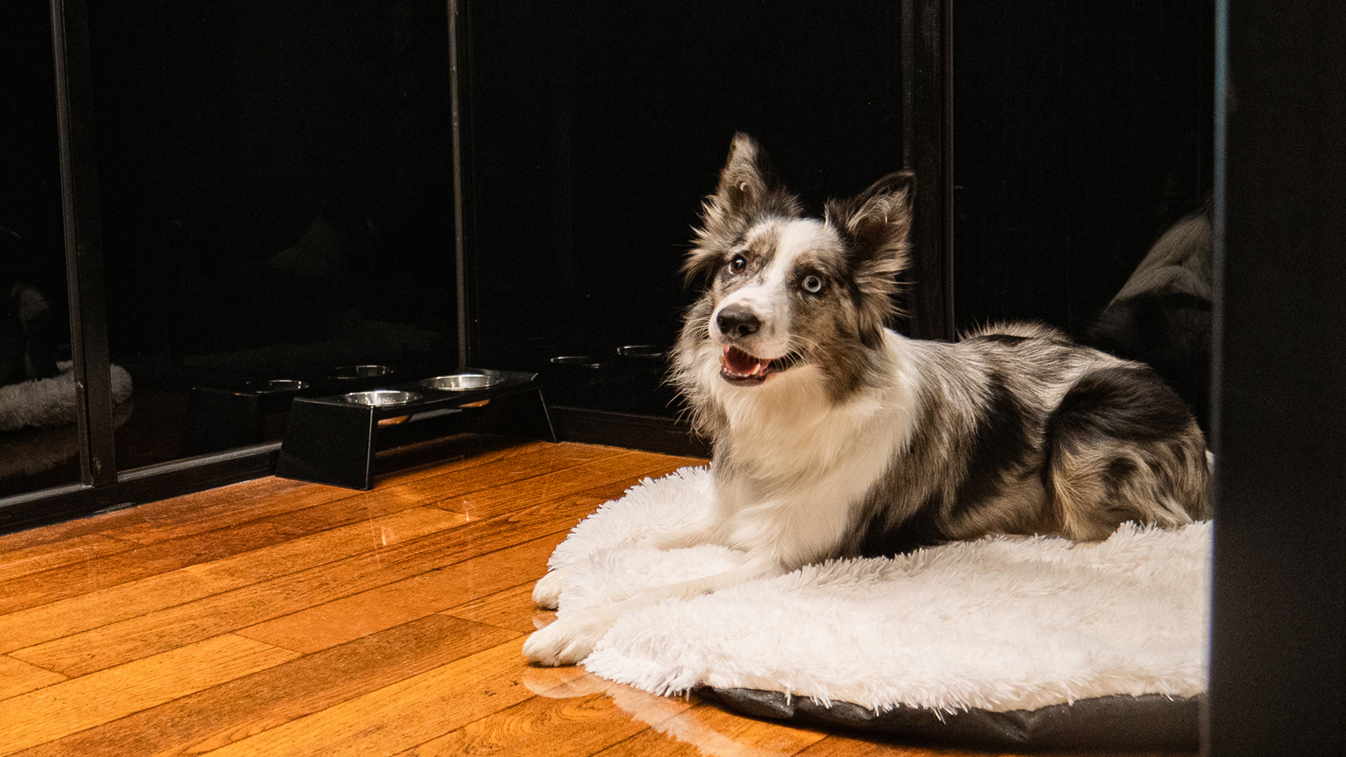 독클래스 대표 이미지