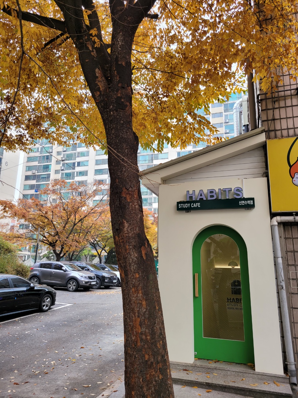 업체사진