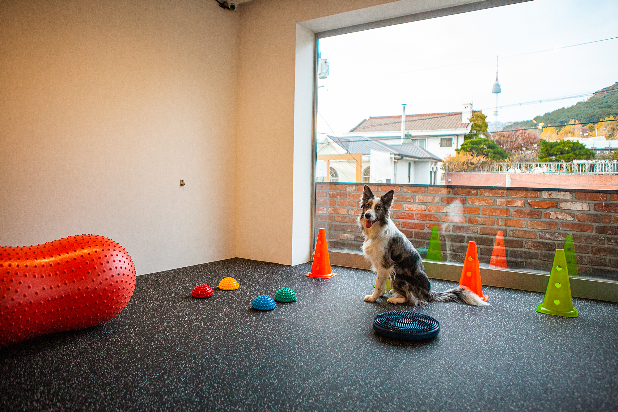 독클래스 대표 이미지