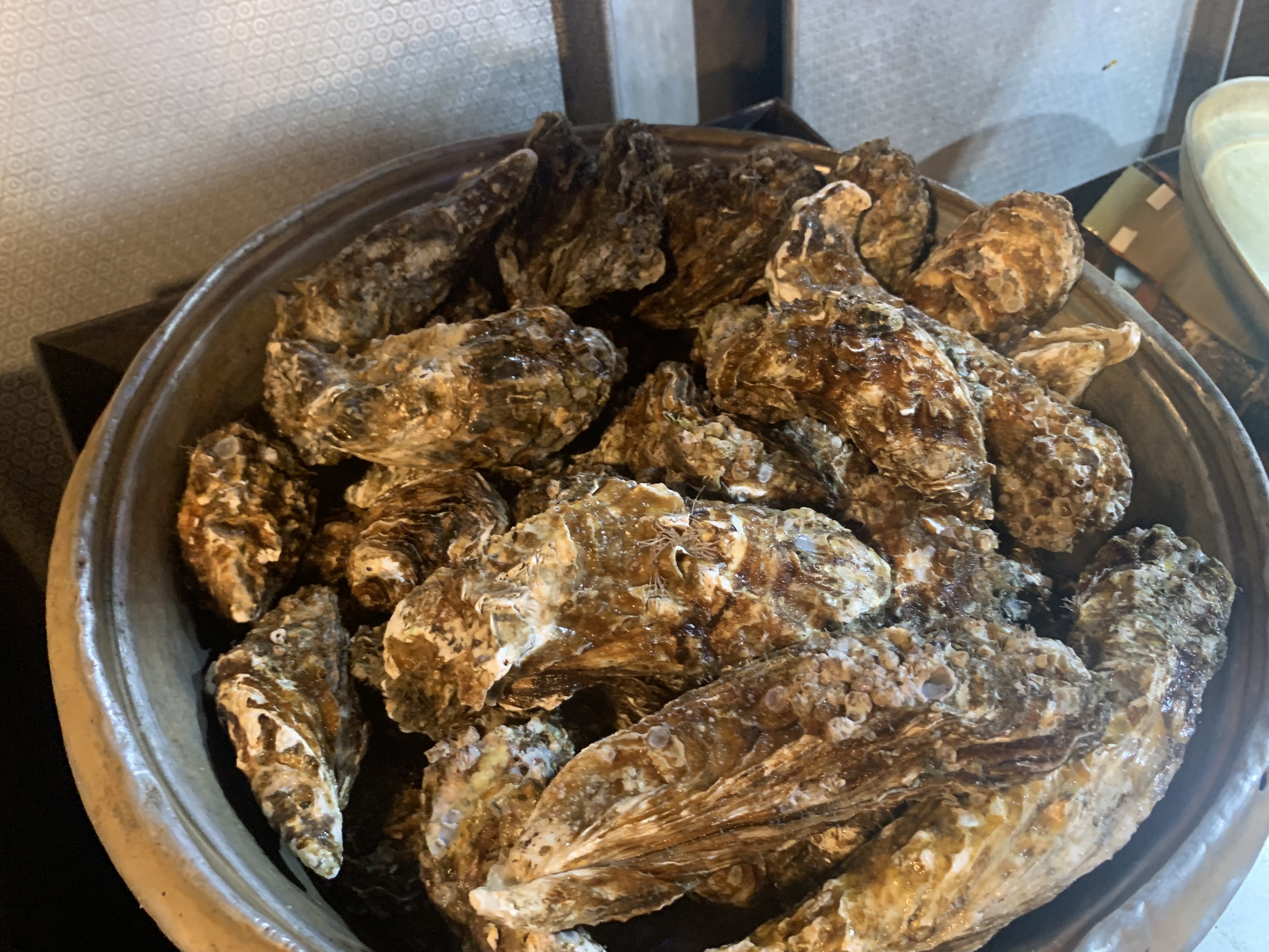 또왔네굴수산