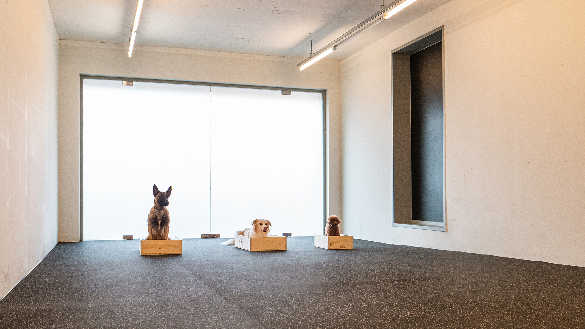 독클래스 대표 이미지