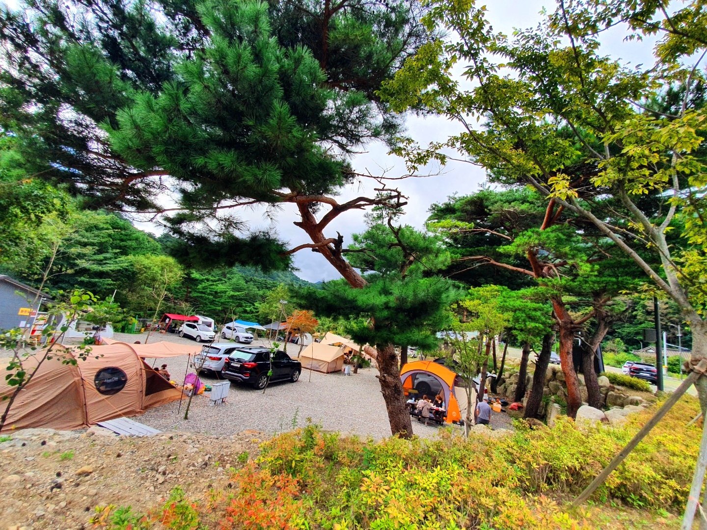 오색산새소리캠핑장
