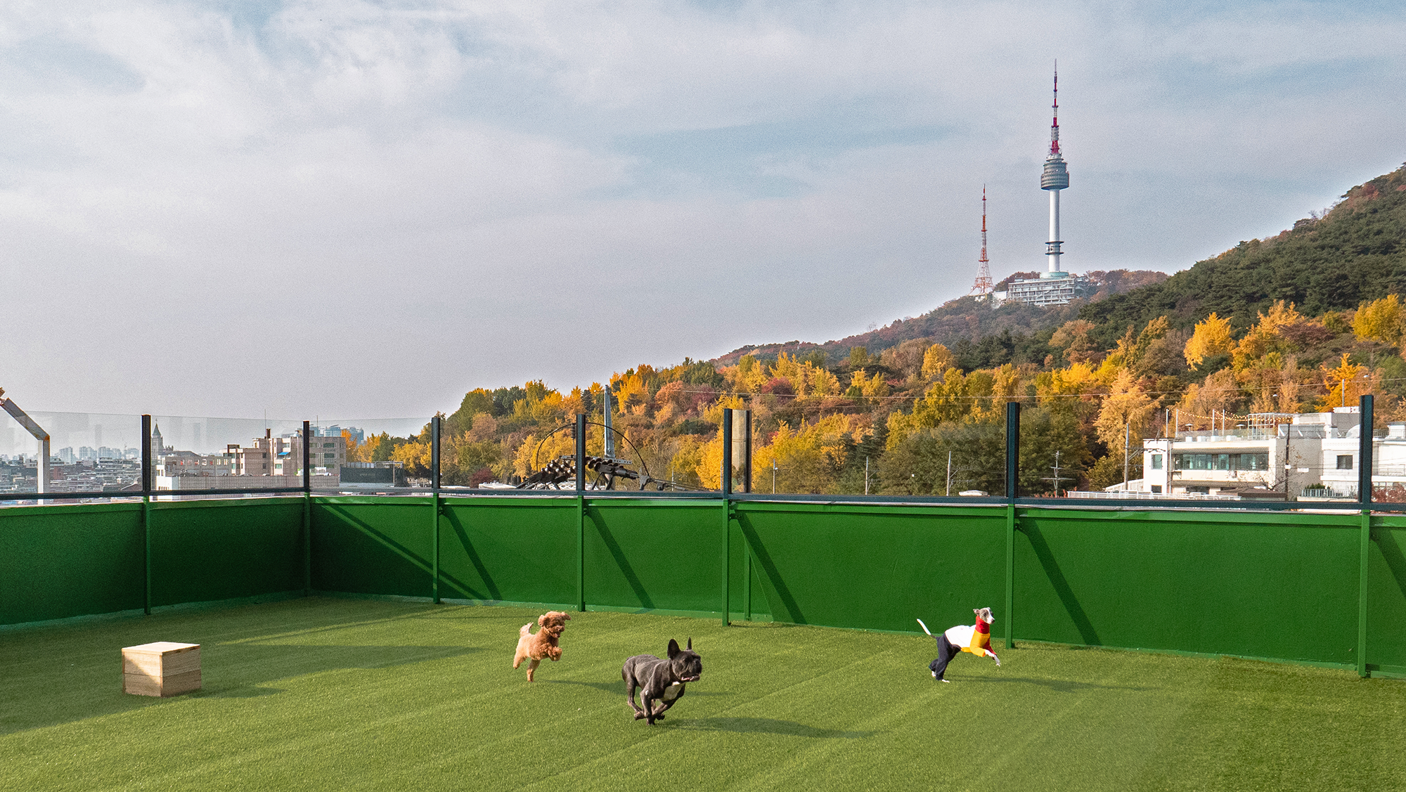 독클래스 대표 이미지