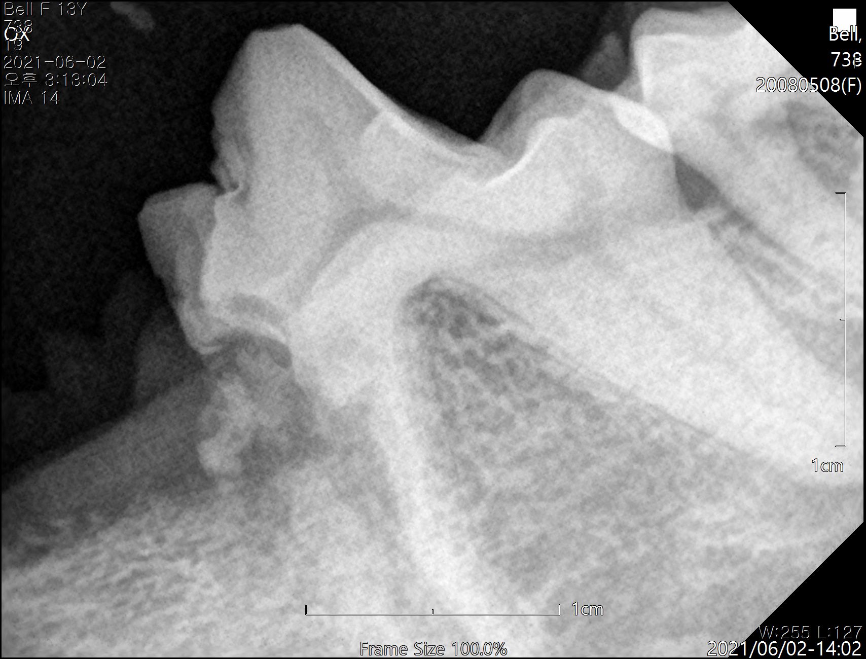 베스트프렌즈 동물병원 대표 이미지