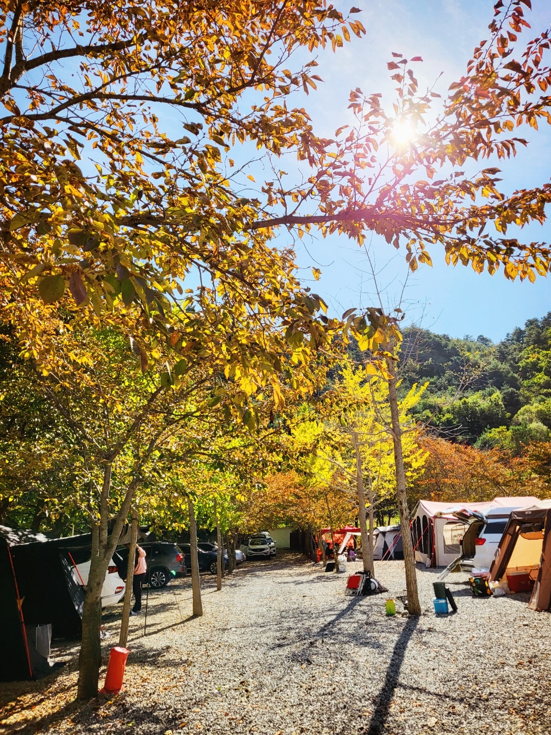 동막골캠핑장