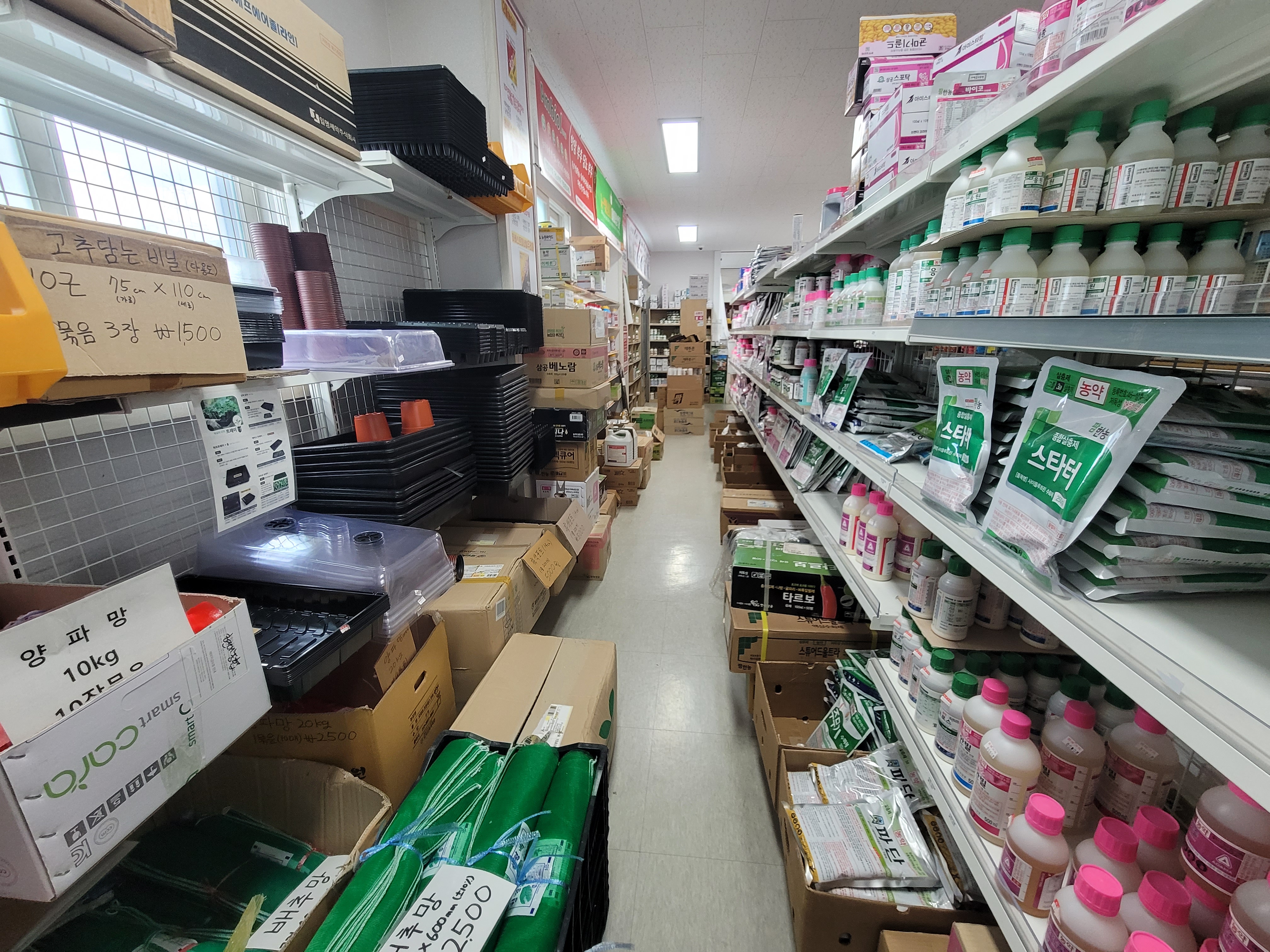 현대농약종묘사