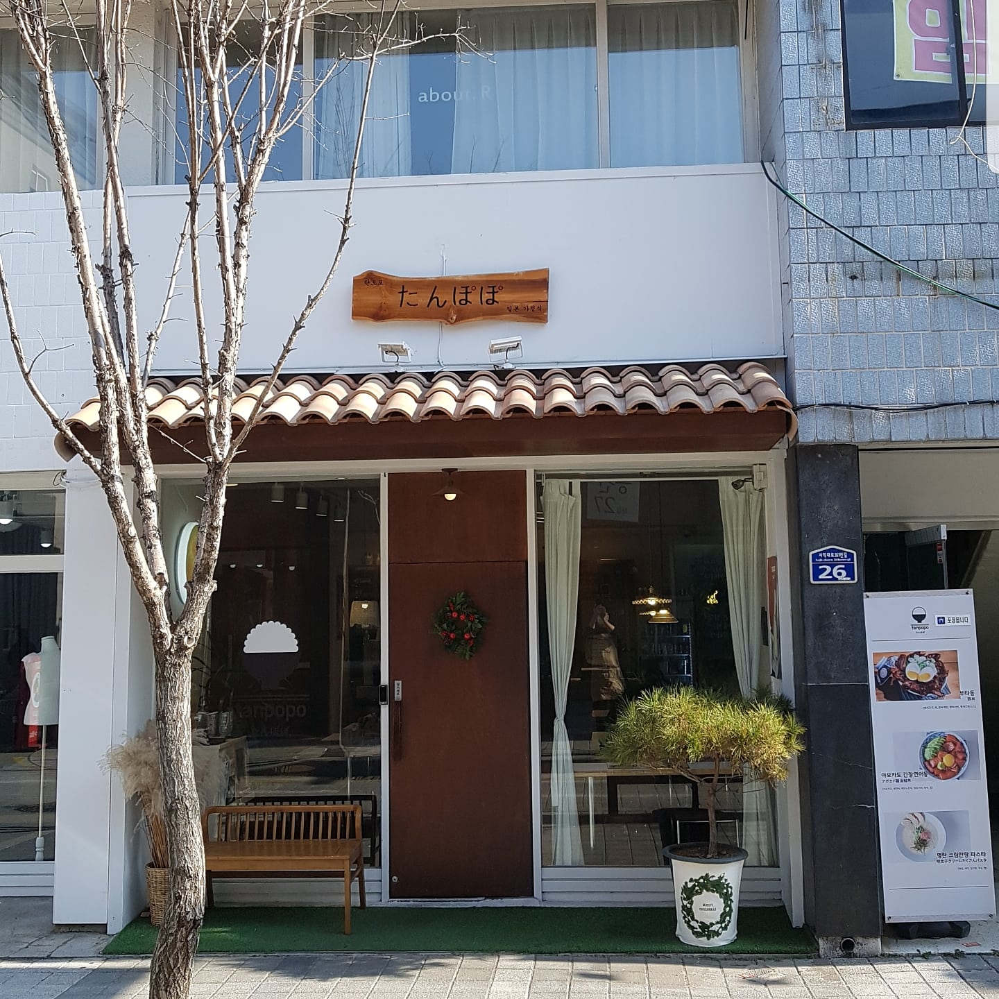 탄포포