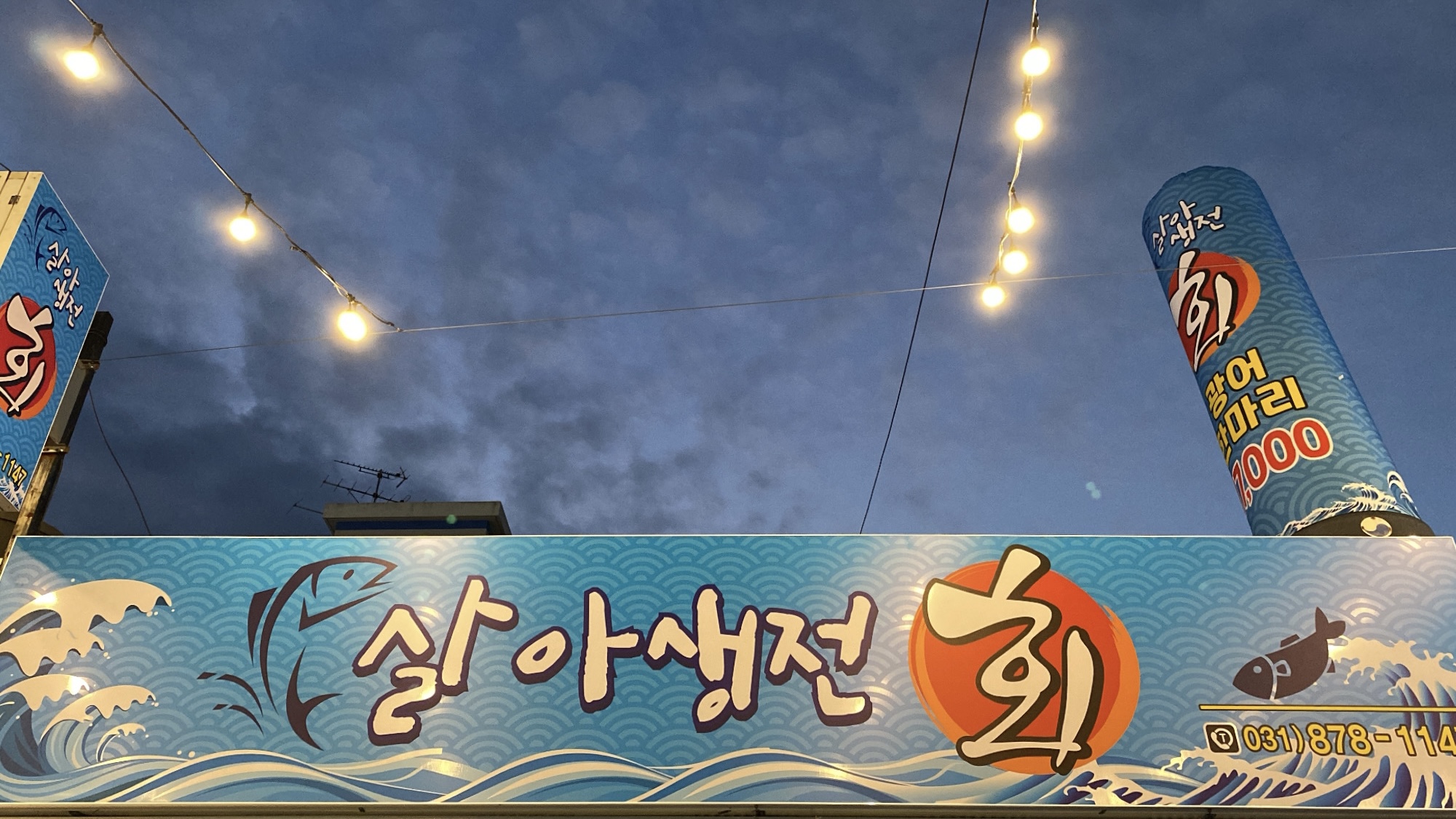 살아생전 회