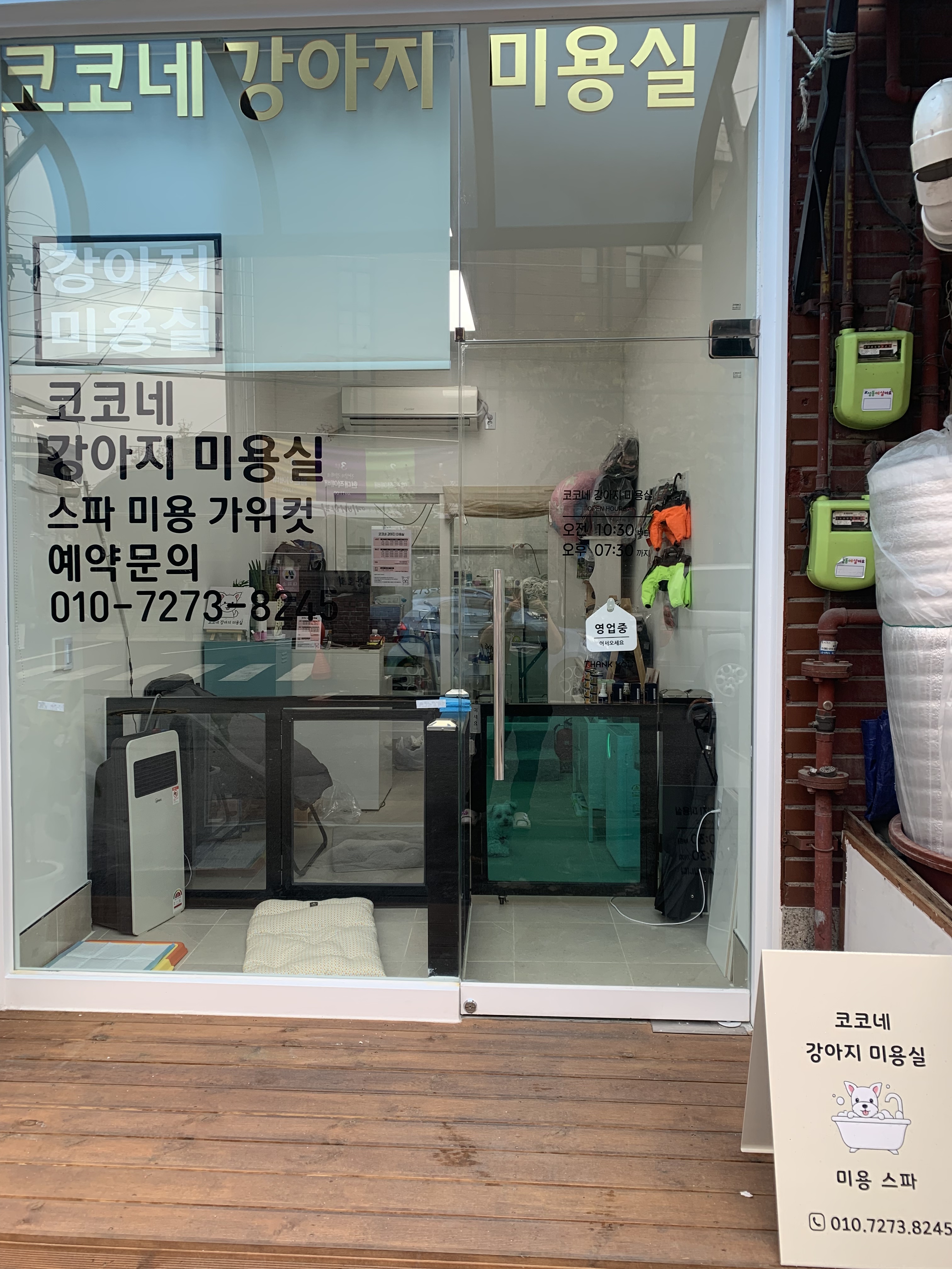 코코네 강아지 미용실 대표 이미지