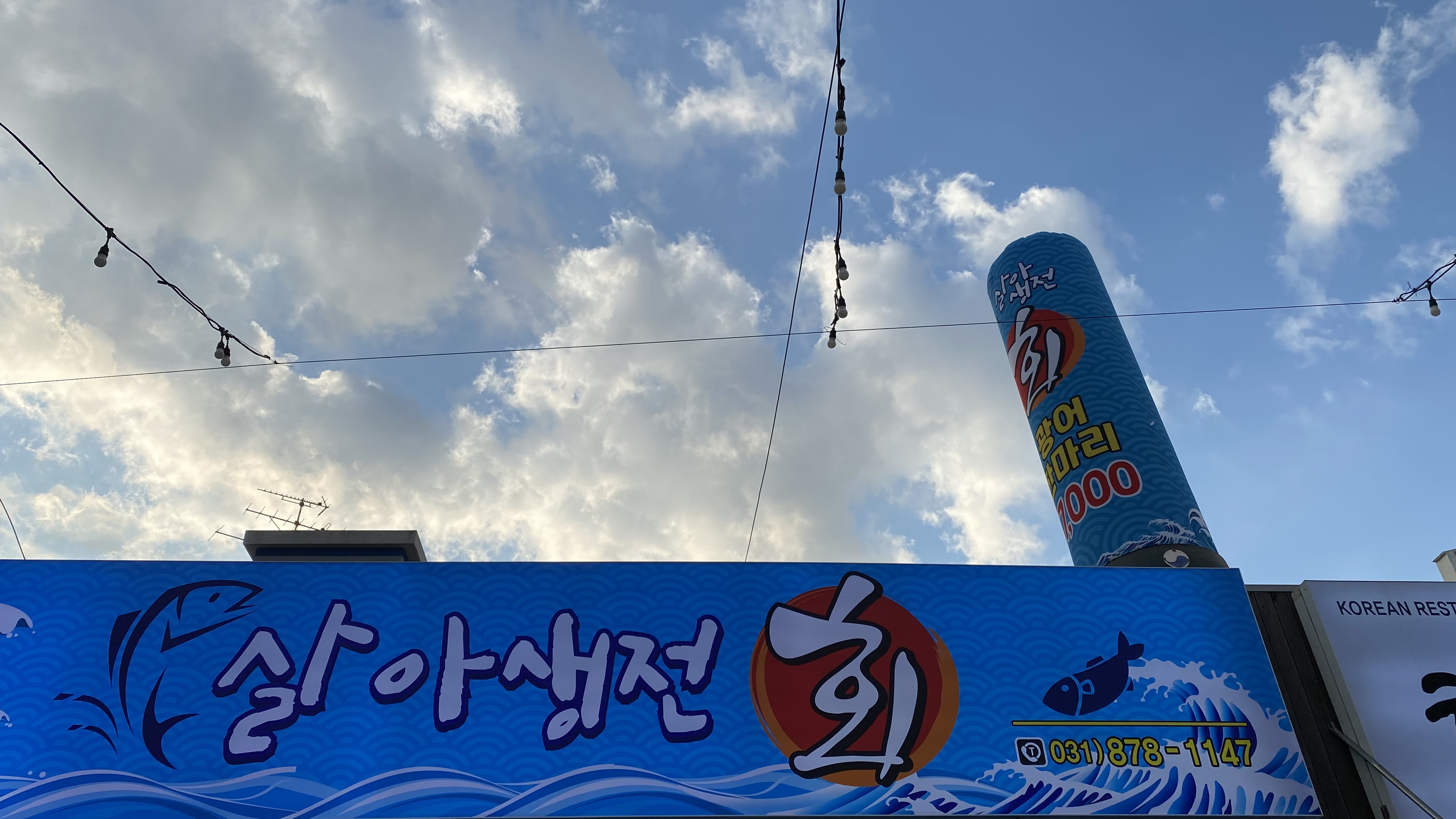 살아생전 회