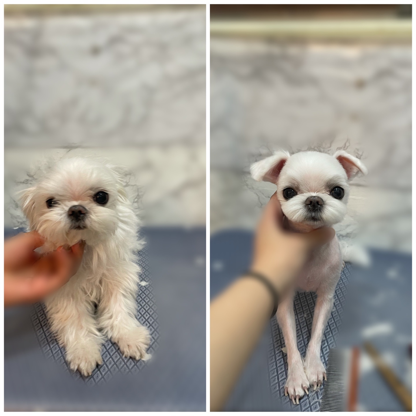 멍스타일 대표 이미지