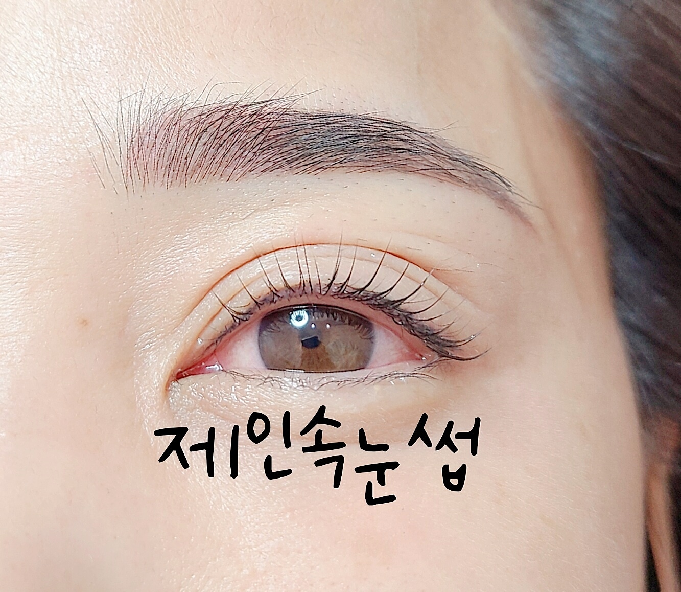 제인속눈썹
