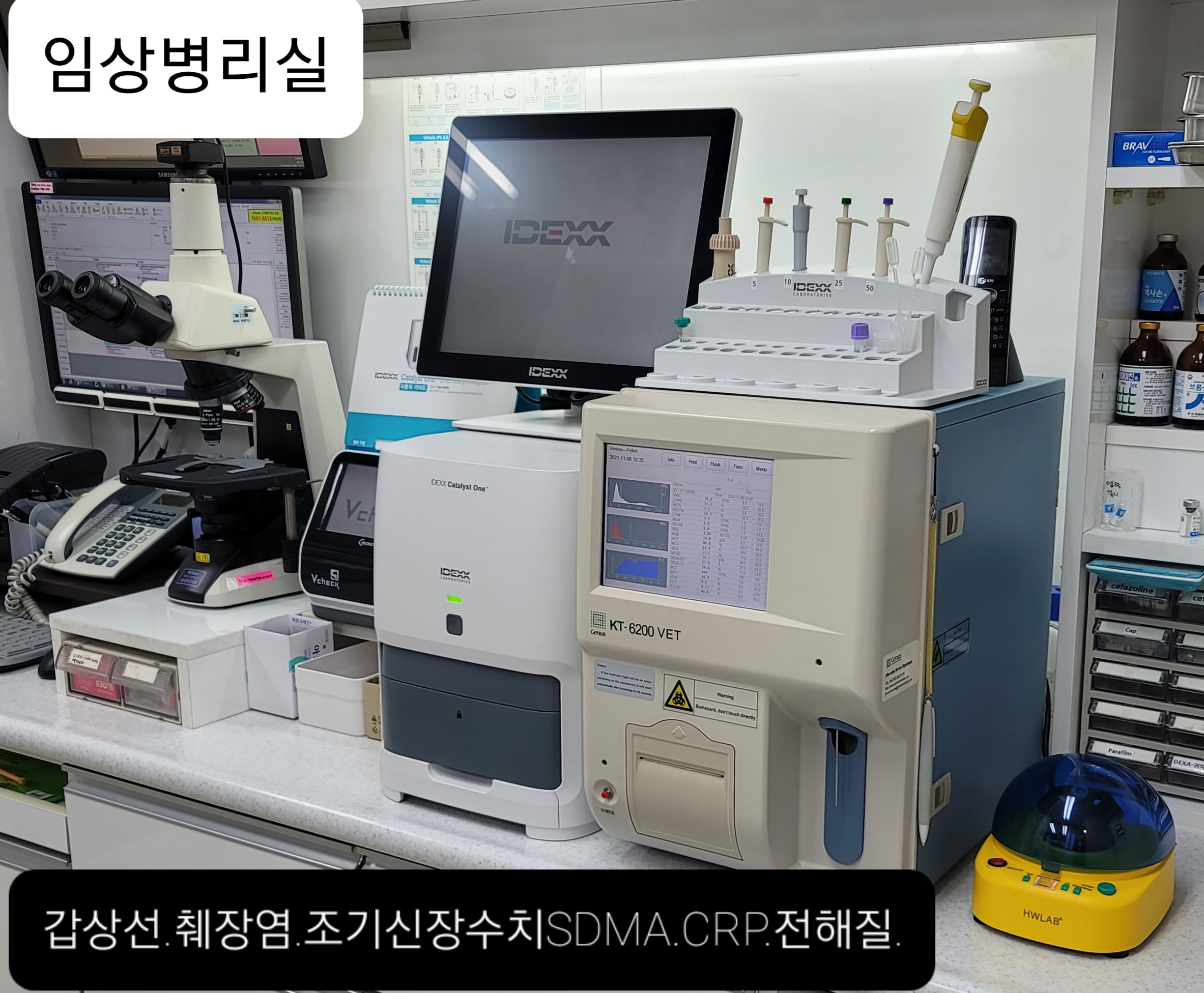 스카이 동물병원 대표 이미지