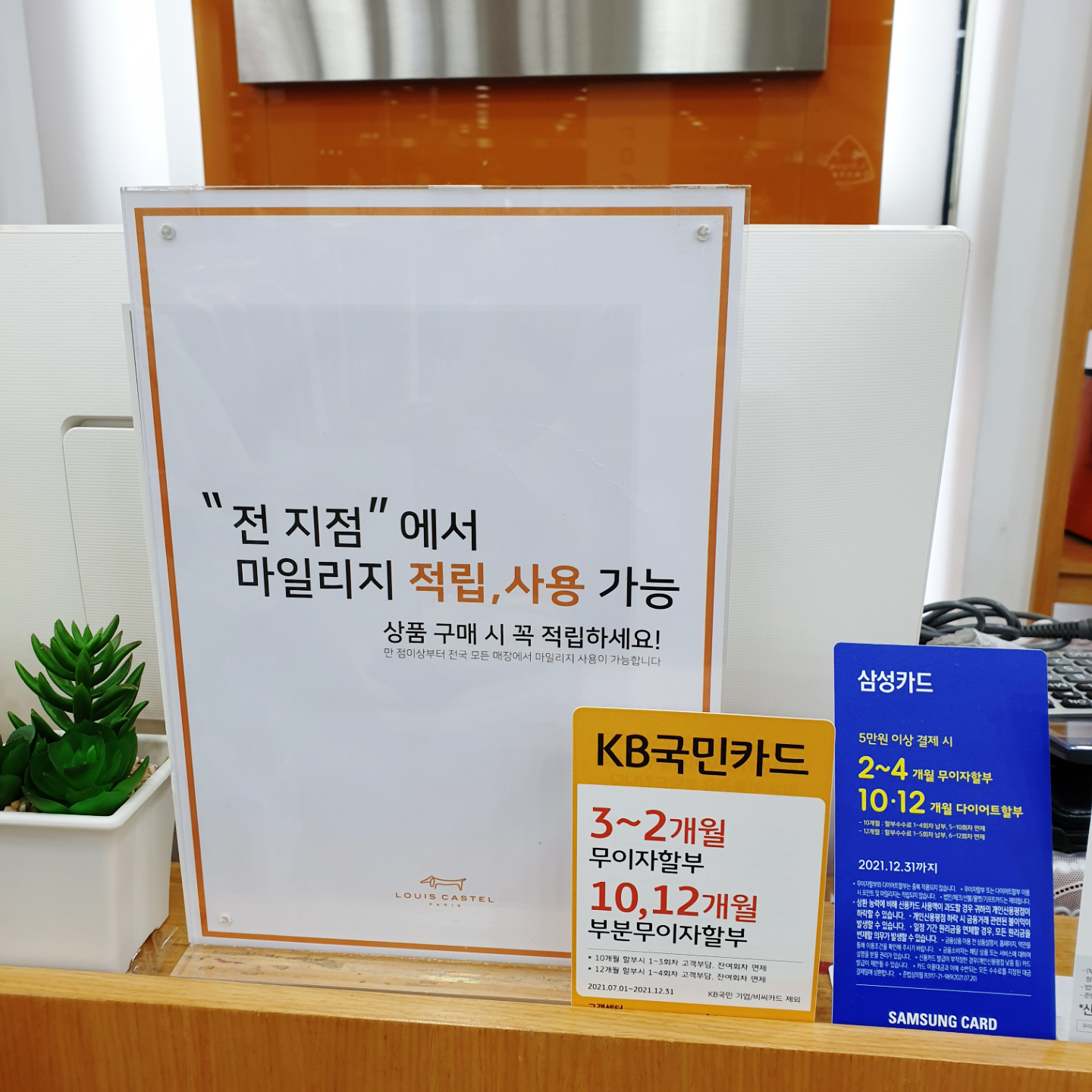 루이까스텔 부산사직점