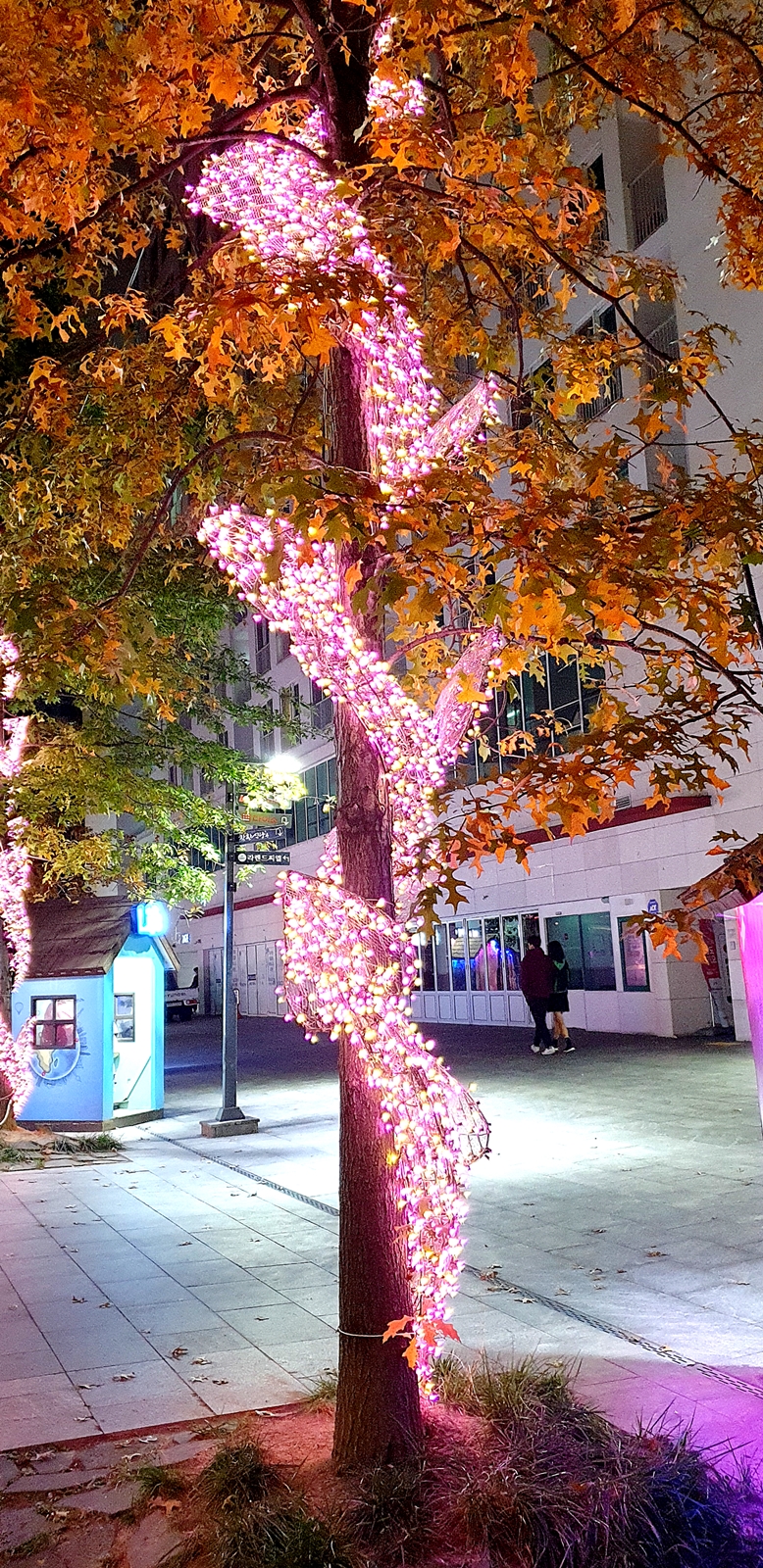 대찬낙지 송파하비오점