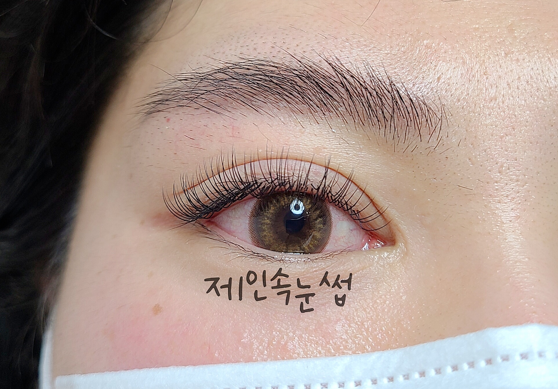 제인속눈썹