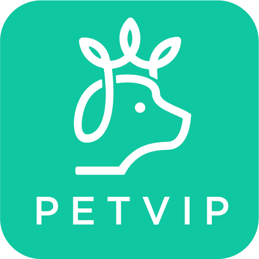 펫VIP 대표 이미지