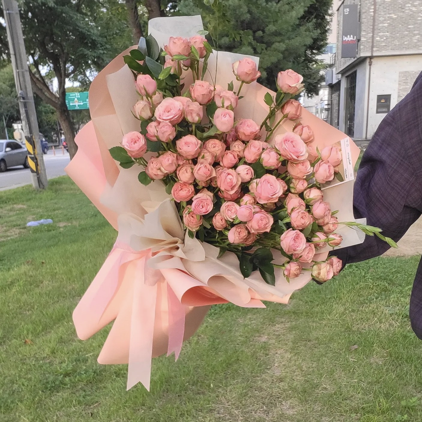스테이인오아시스