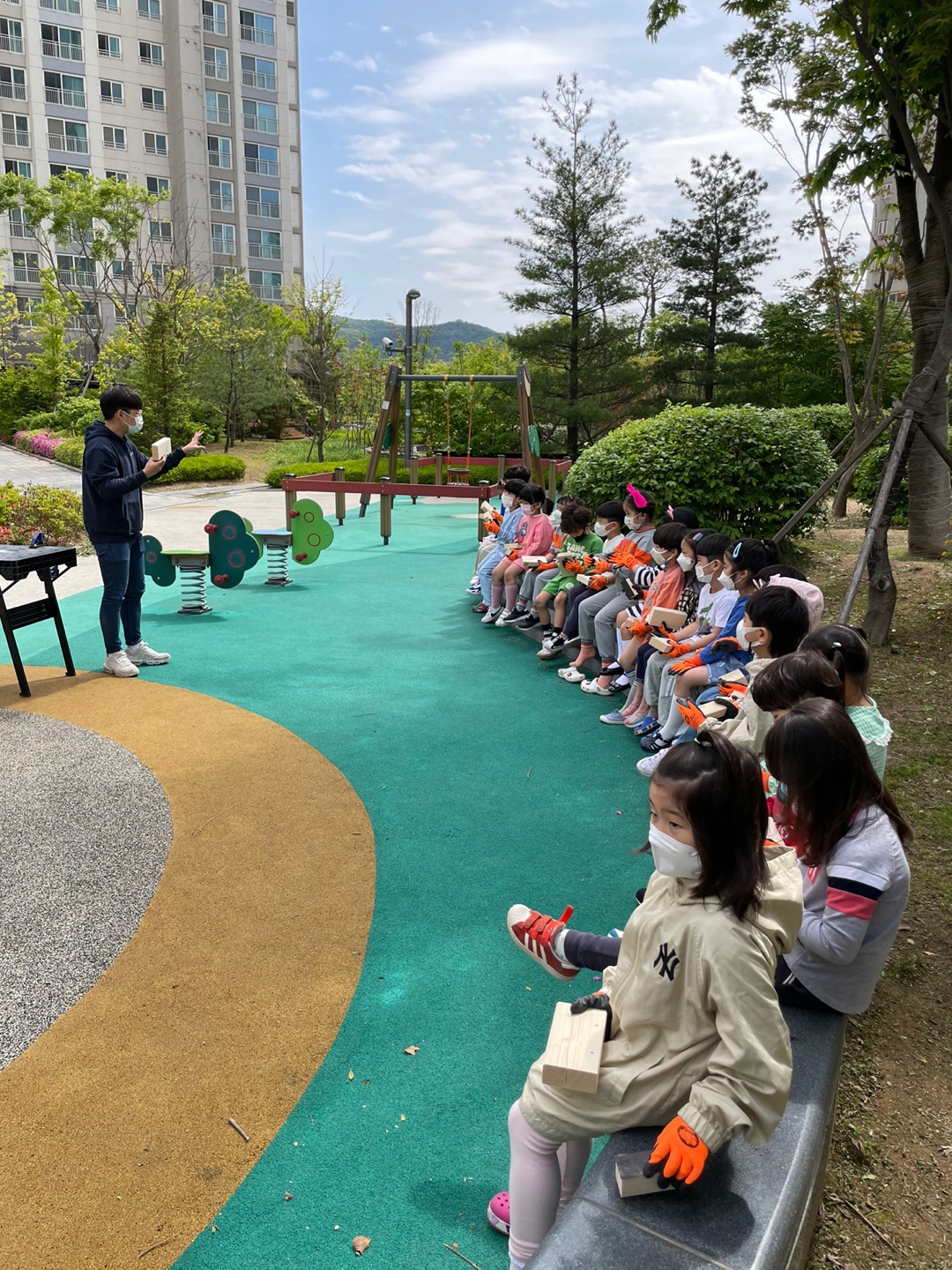 나무놀보