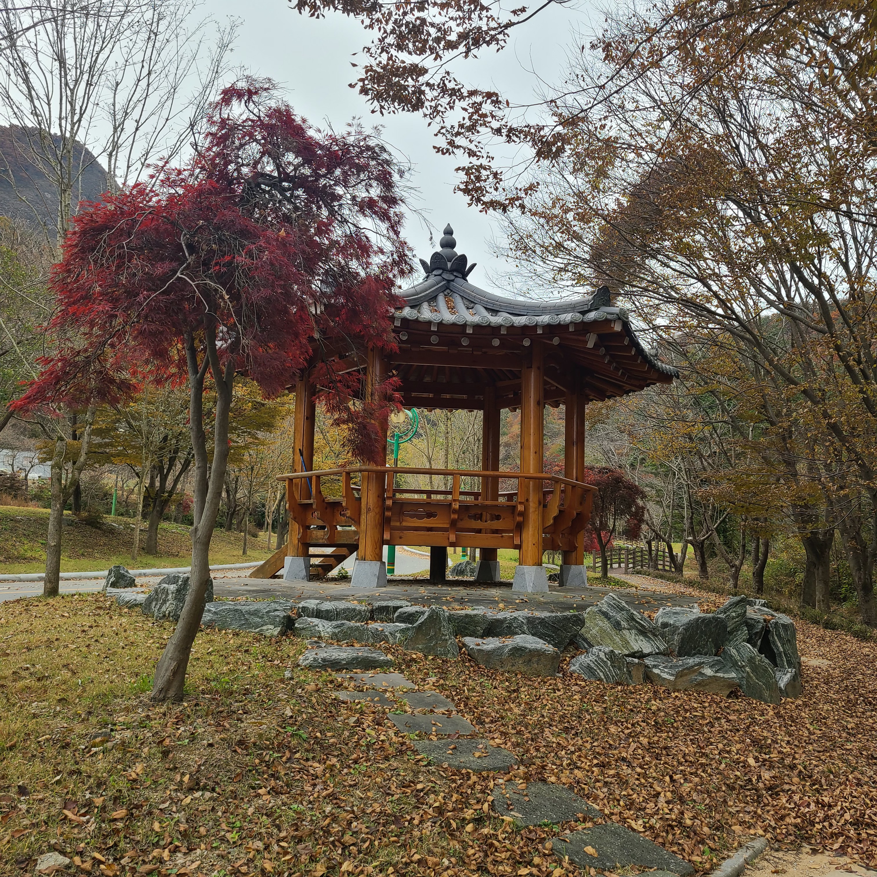 마이산힐링하우스 앤 카페 대표 이미지