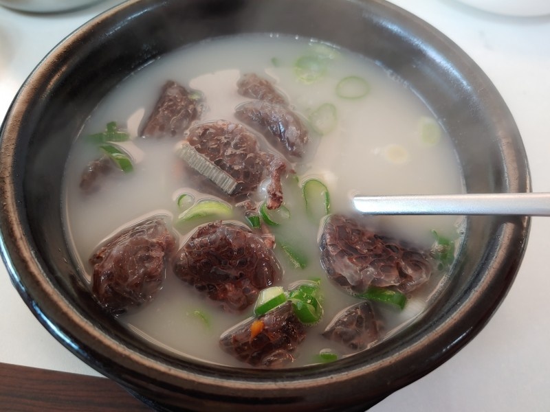 합천돼지국밥