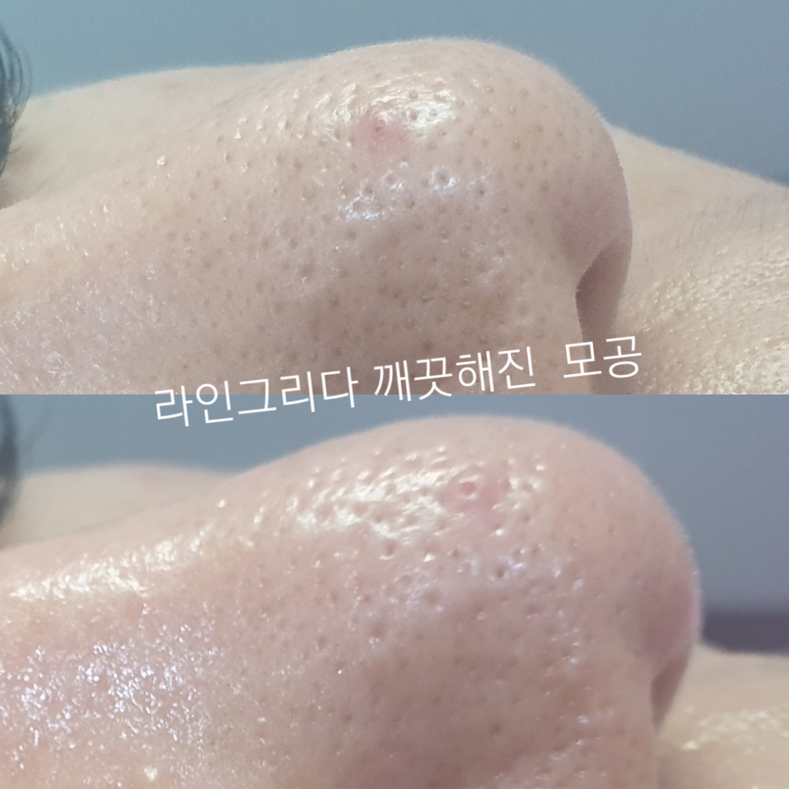 라인그리다