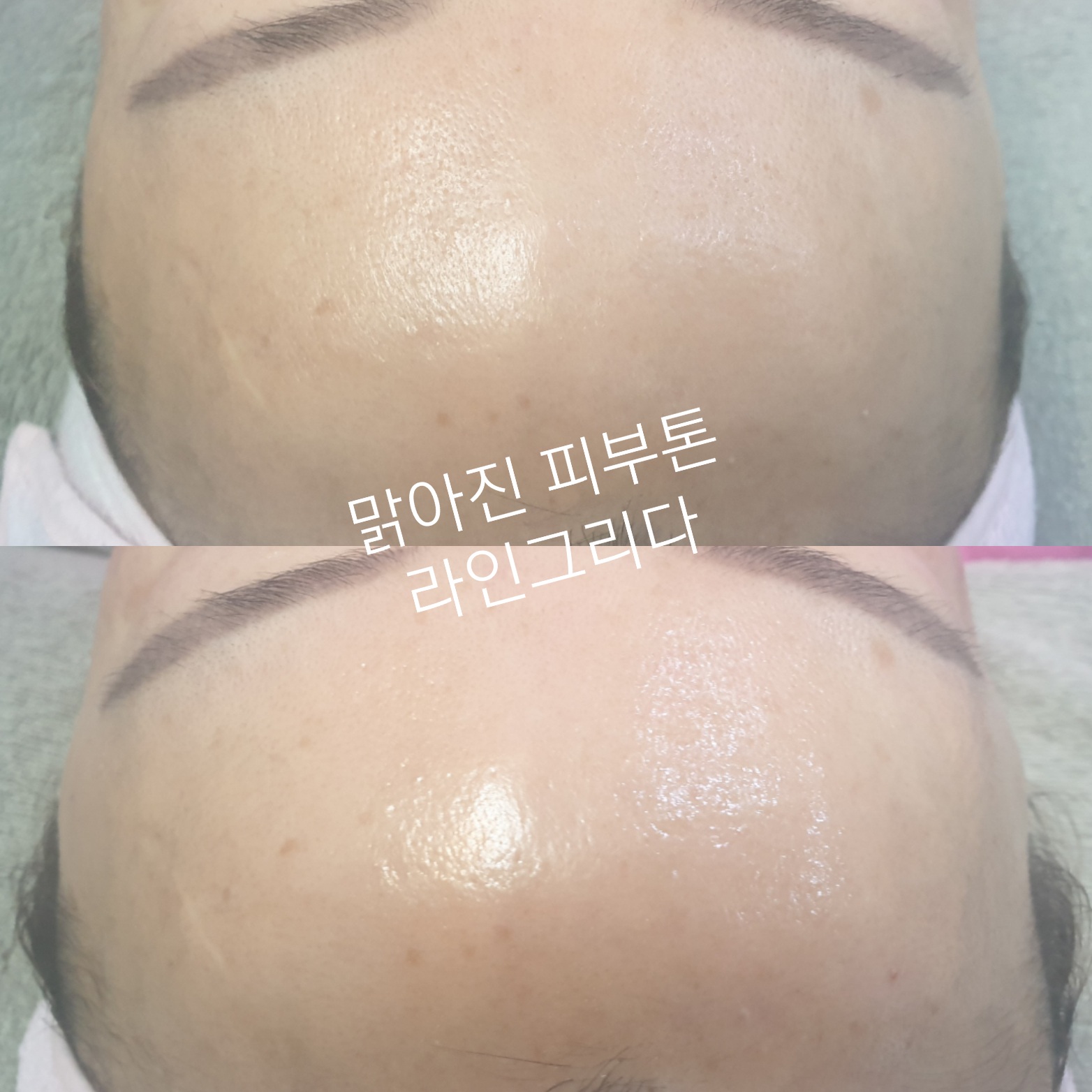 라인그리다