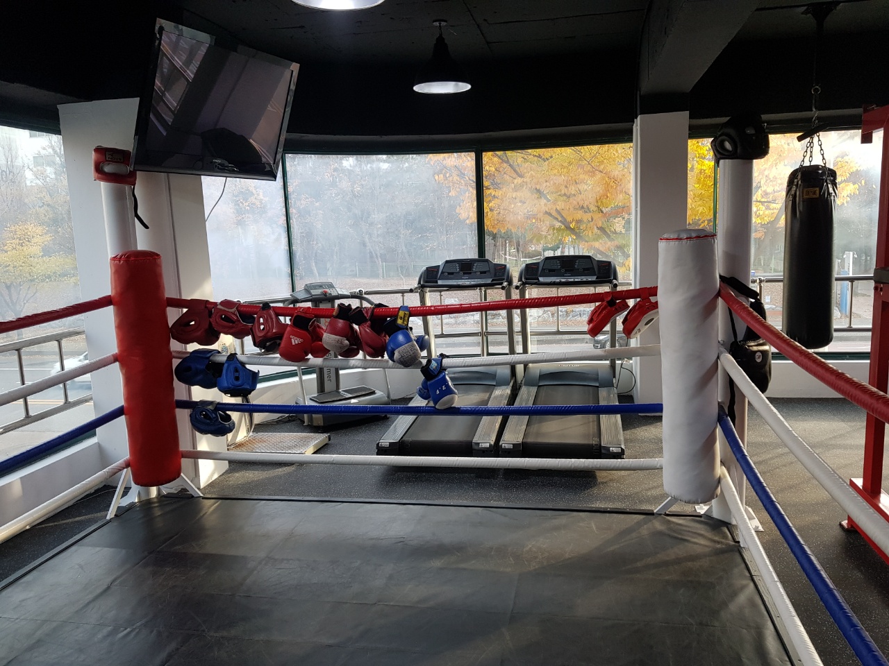 경기도 안산시 단원구 복싱체육관 세계복싱클럽 내부 모습 5